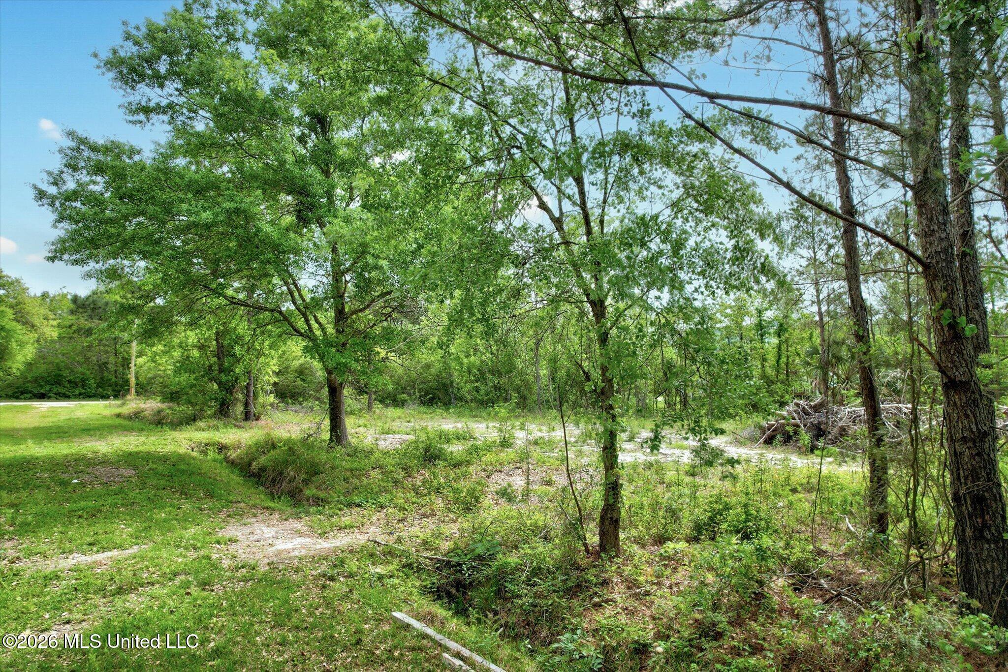 7015 Third Street Property Photo 2