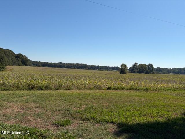 3531 S Horn Lake Road Property Photo 12
