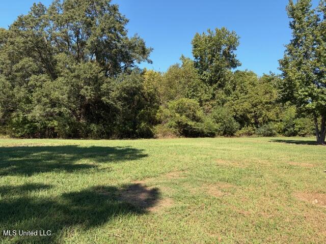 3531 S Horn Lake Road Property Photo 13