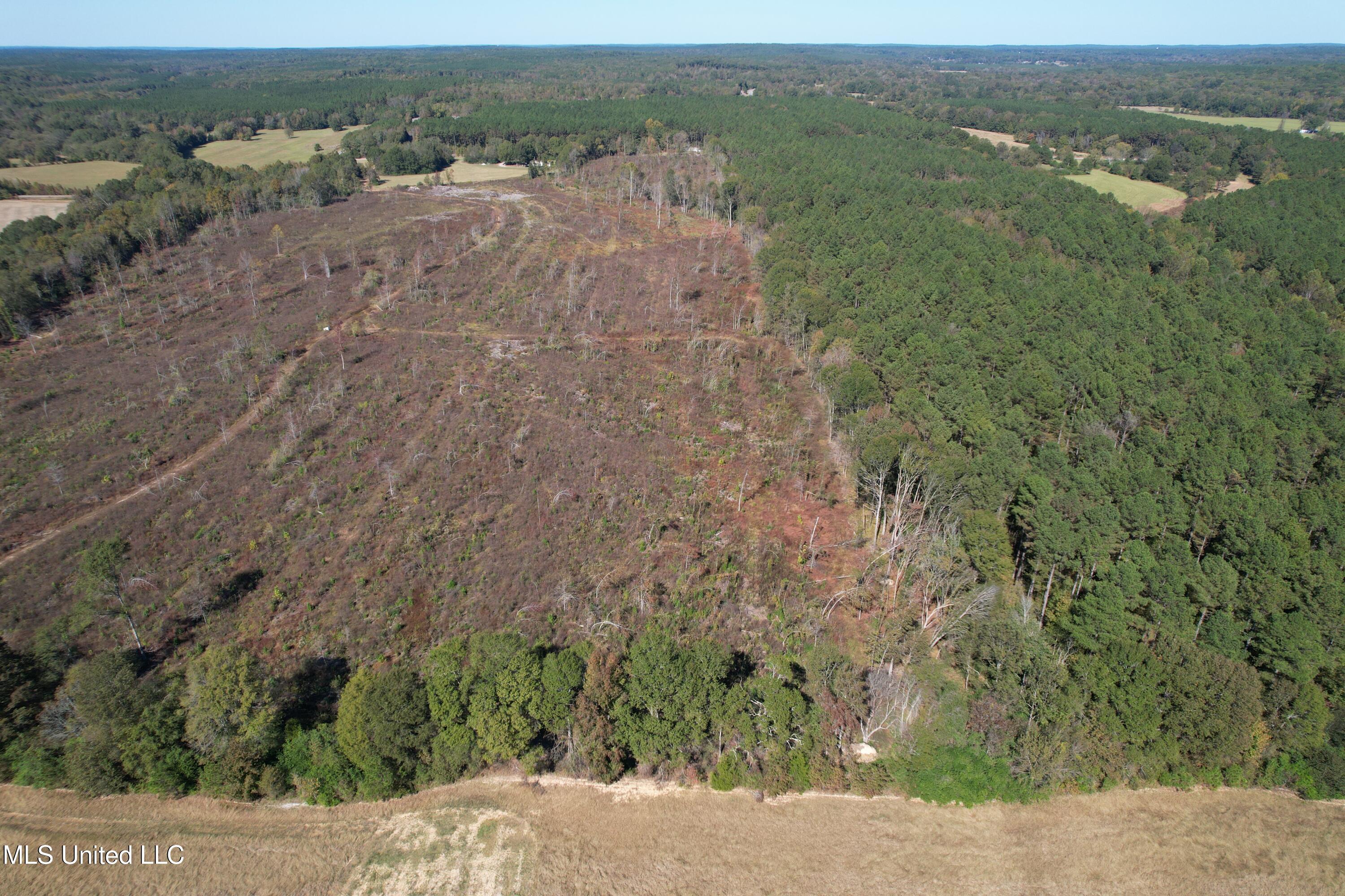 0 County Road 7 Property Photo 4