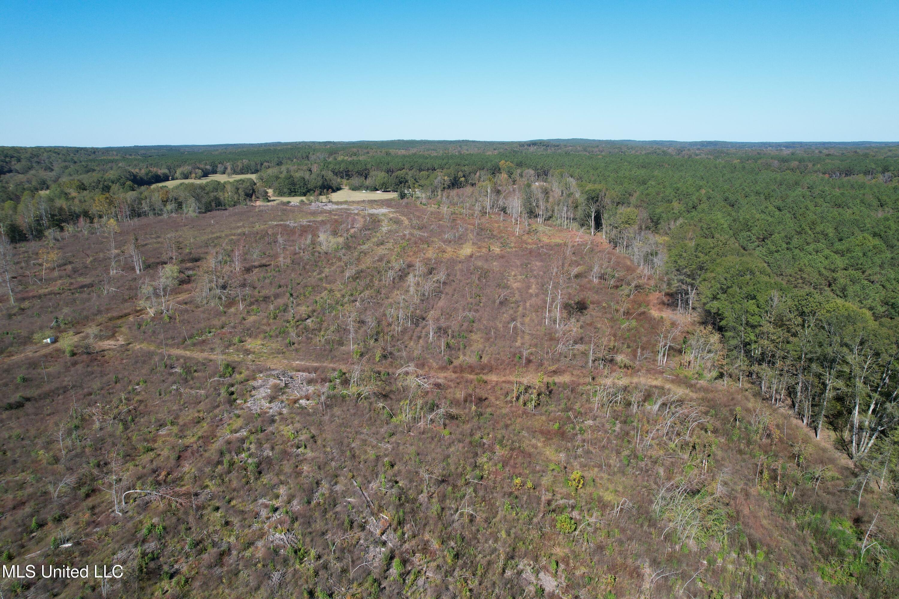 0 County Road 7 Property Photo 5