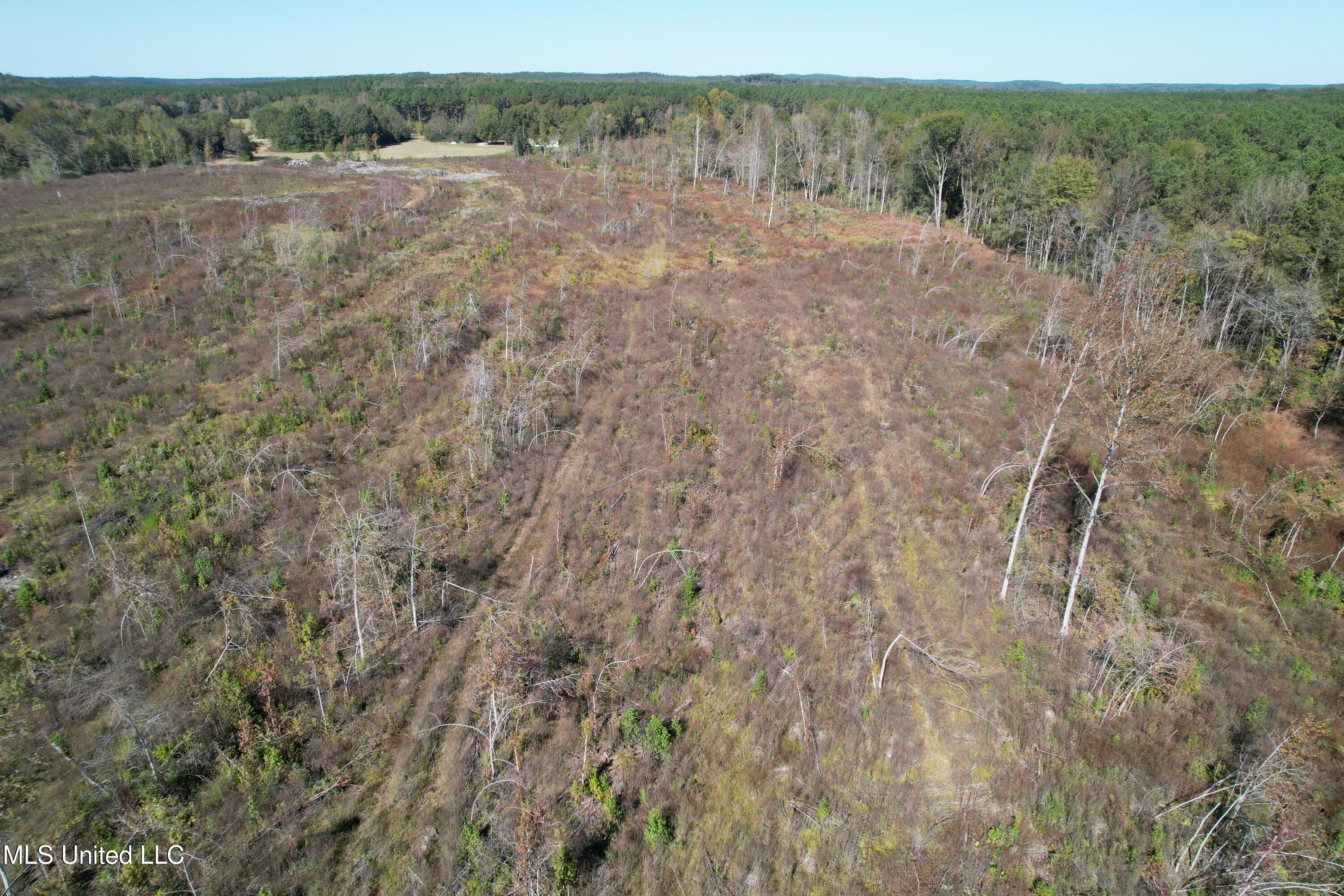 0 County Road 7 Property Photo 6