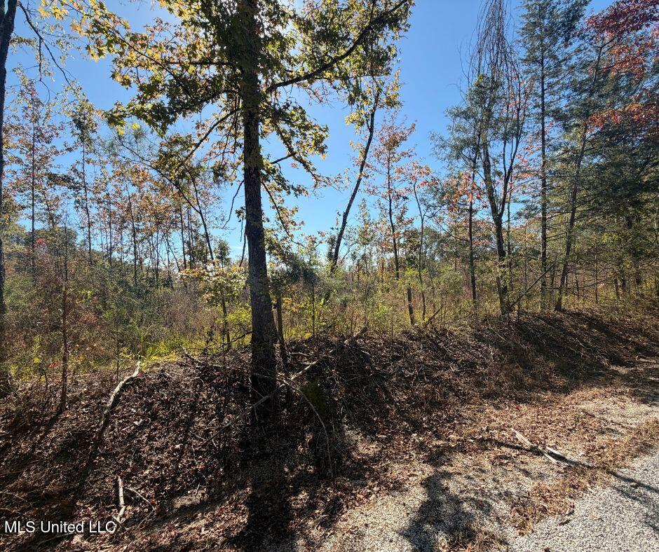 0 County Road 7 Property Photo 10