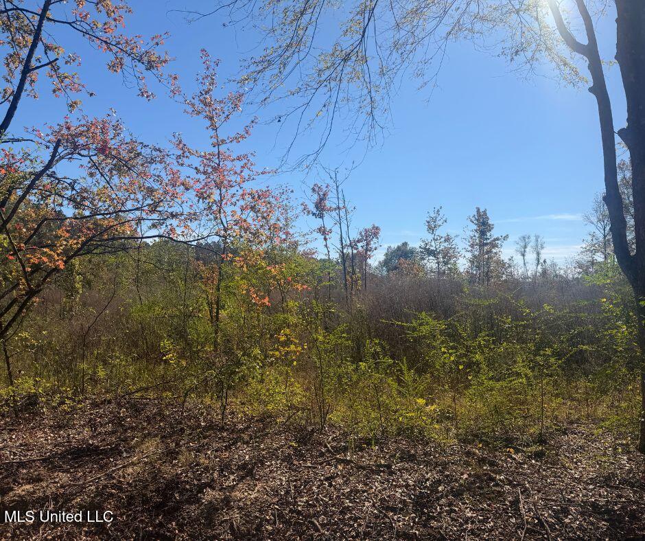 0 County Road 7 Property Photo 12