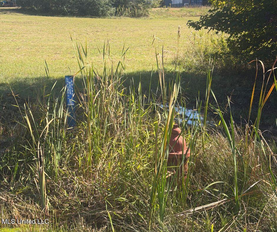 0 County Road 7 Property Photo 13