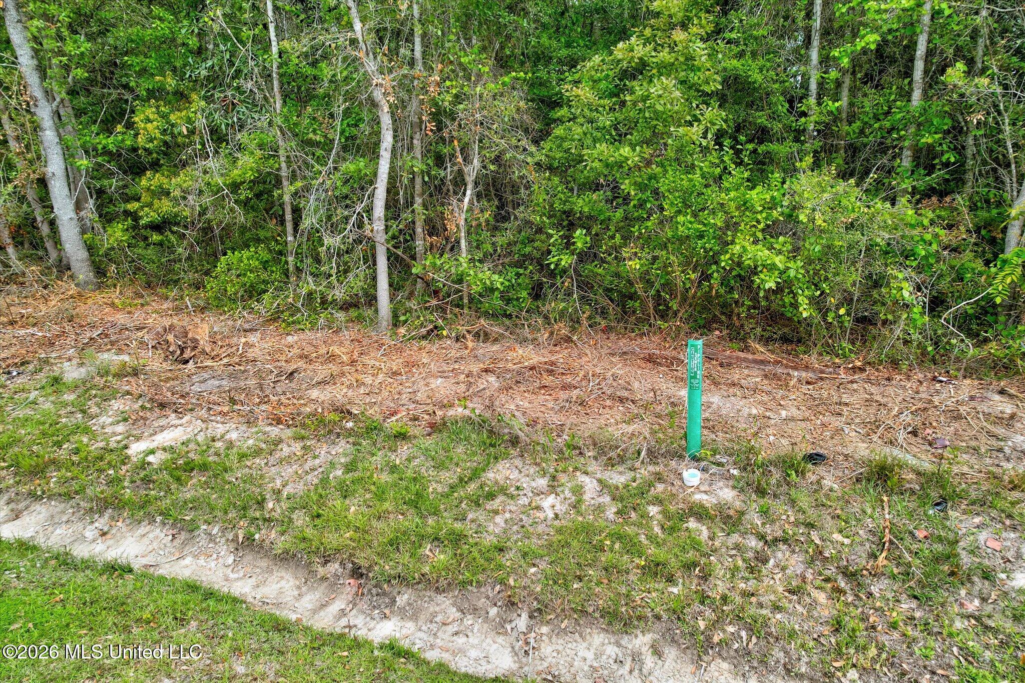 Duvernay Road Property Photo 3