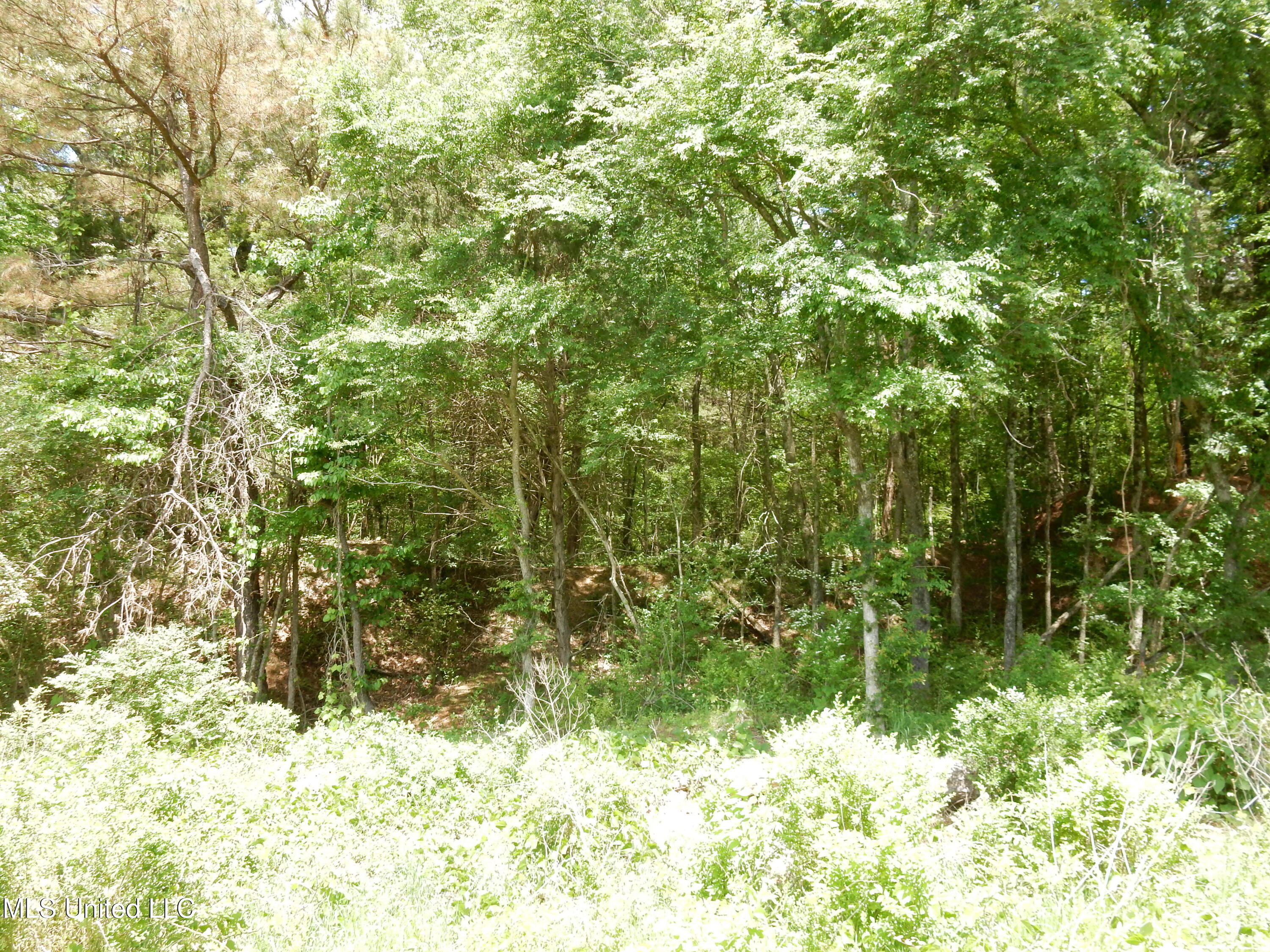 3 Looxahoma Tyro Road Property Photo 1