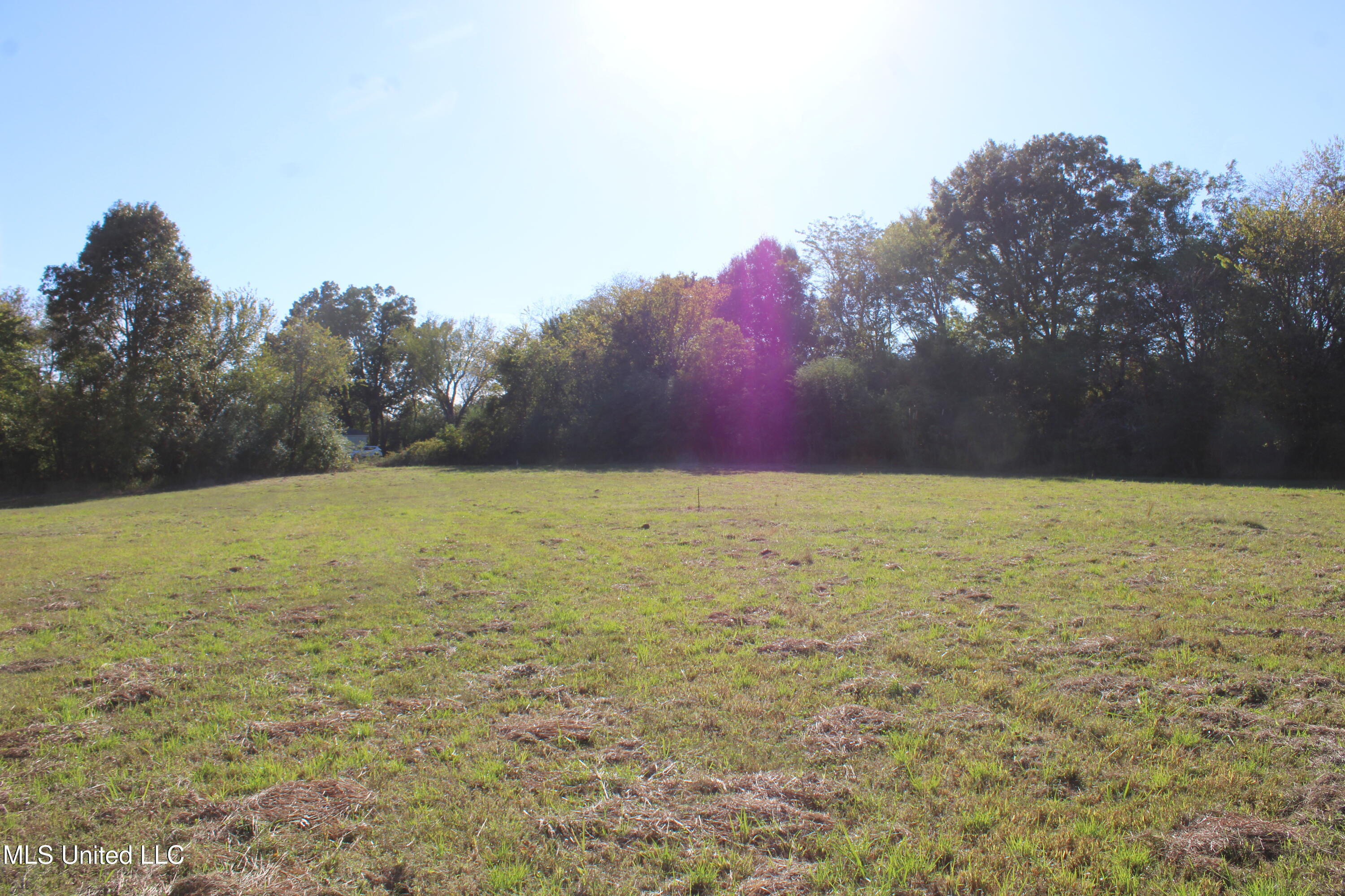 113 Bull Horn Road Property Photo 5