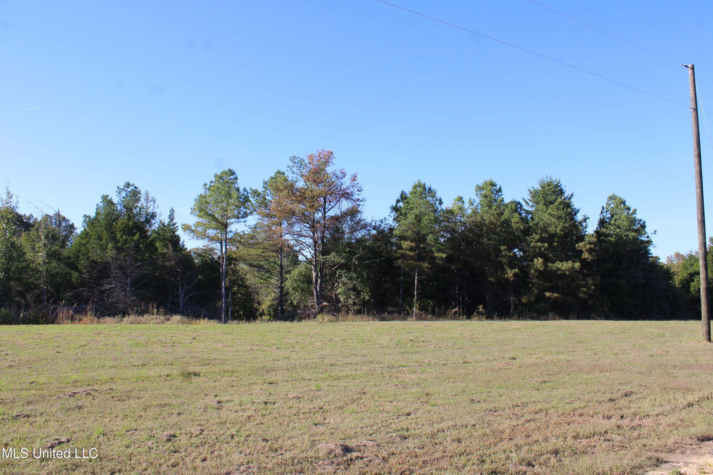 113 Bull Horn Road Property Photo 12