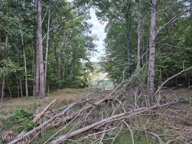 Lake View Dr Property Photo 4