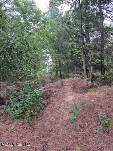 Lake View Dr Property Photo 5