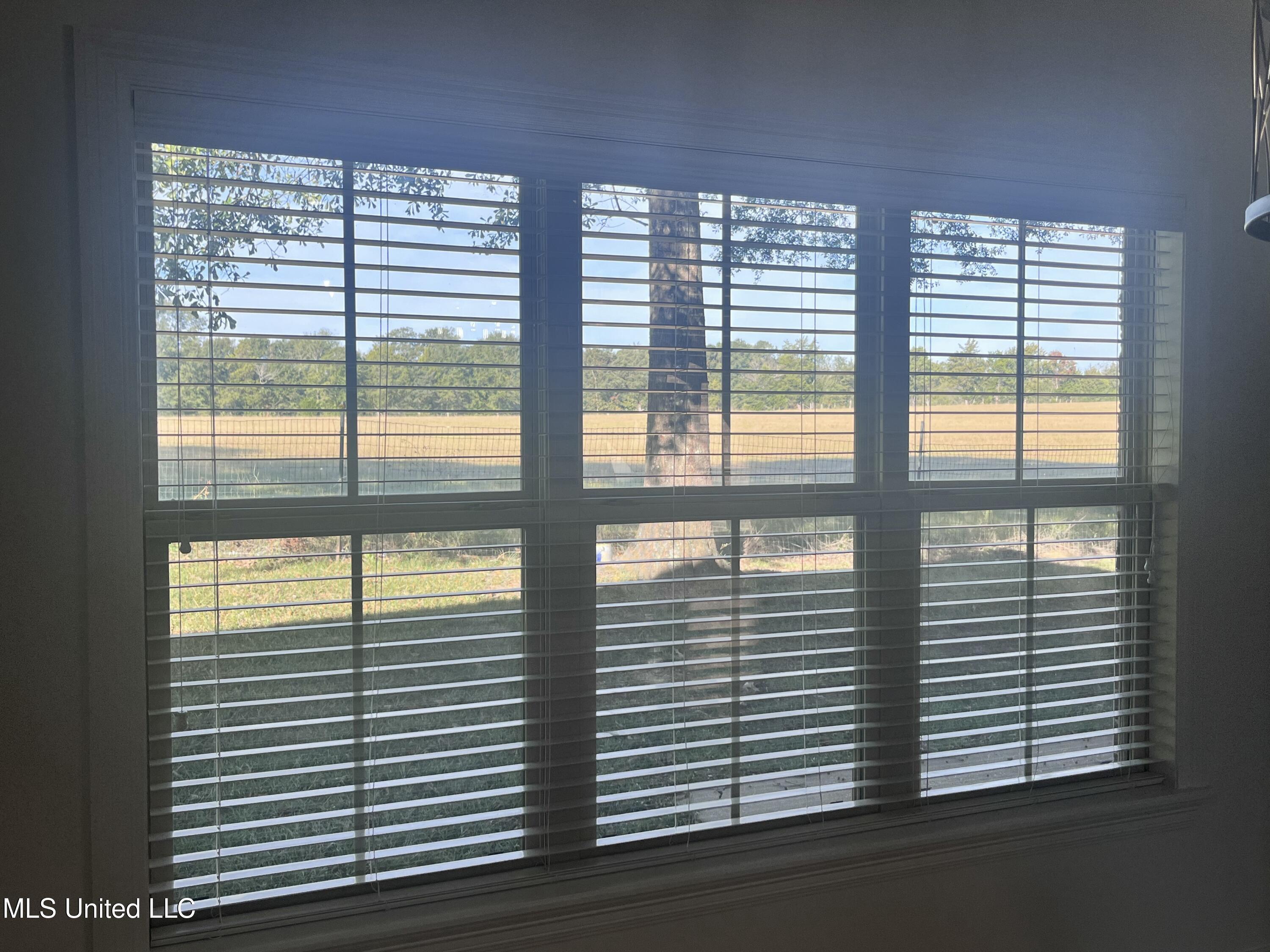 306 Cedar Stone Court Property Photo 36