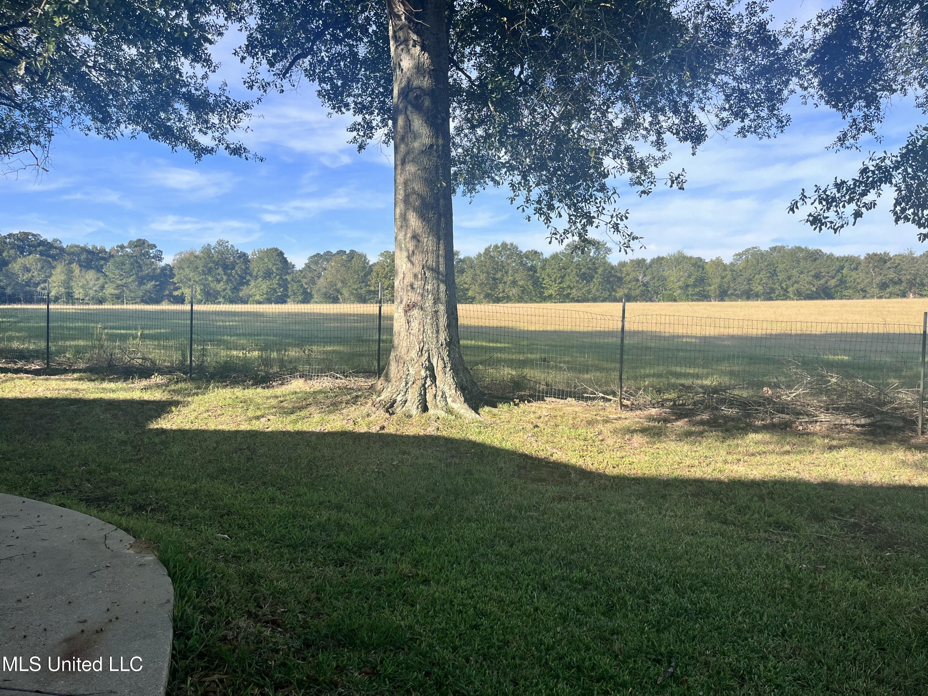 306 Cedar Stone Court Property Photo 55