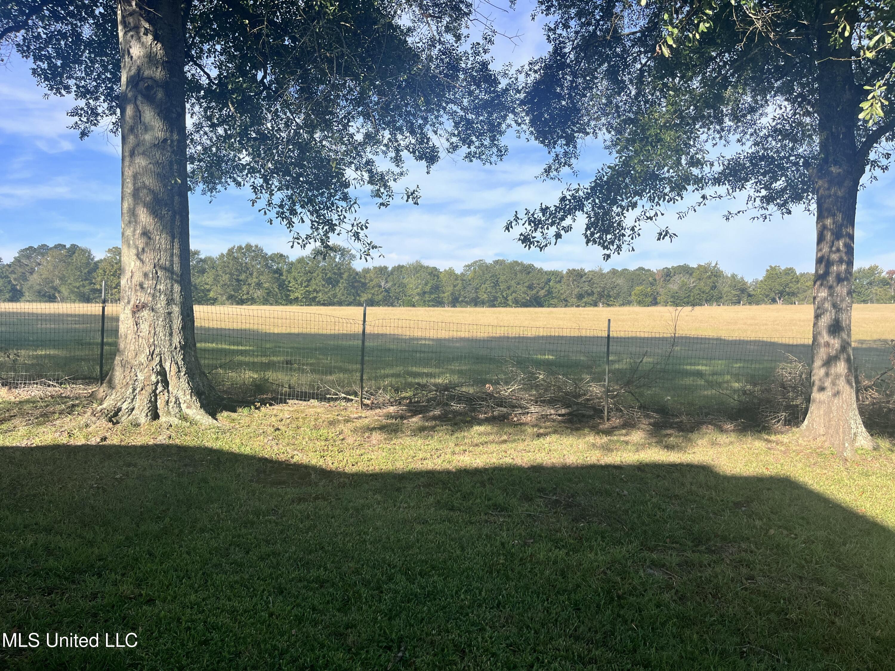 306 Cedar Stone Court Property Photo 57