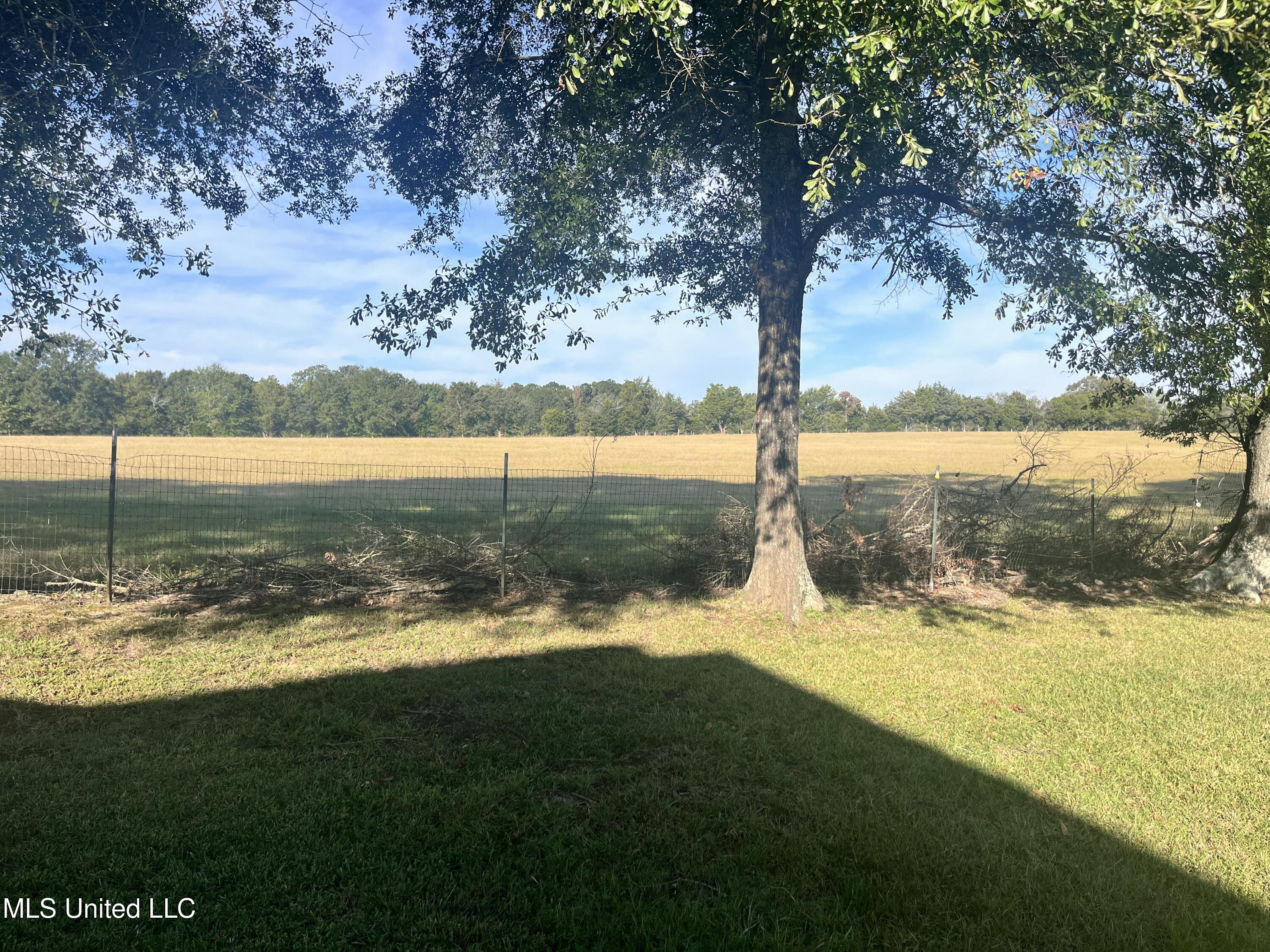 306 Cedar Stone Court Property Photo 58