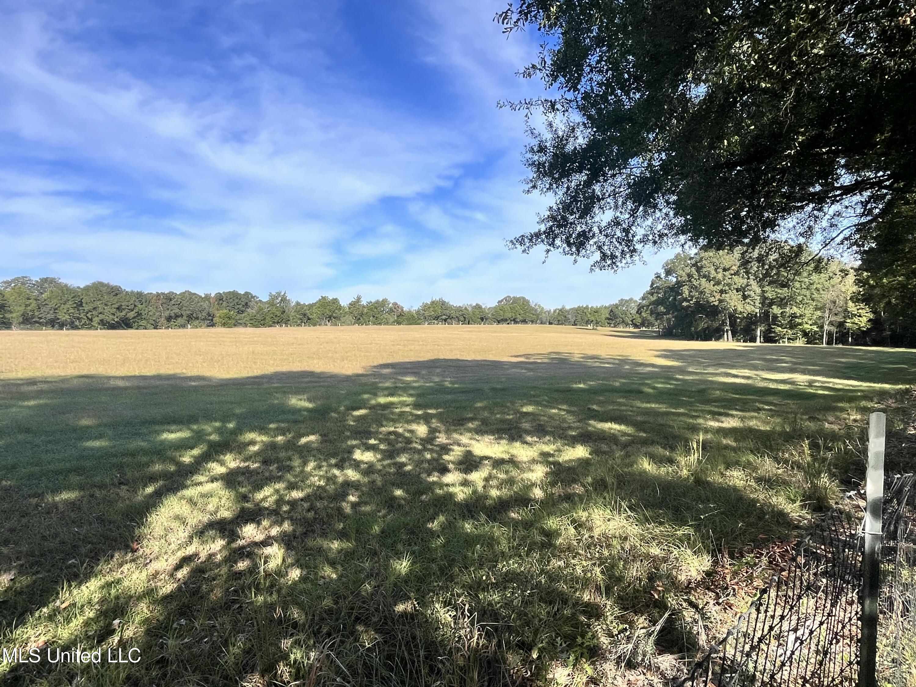 306 Cedar Stone Court Property Photo 59