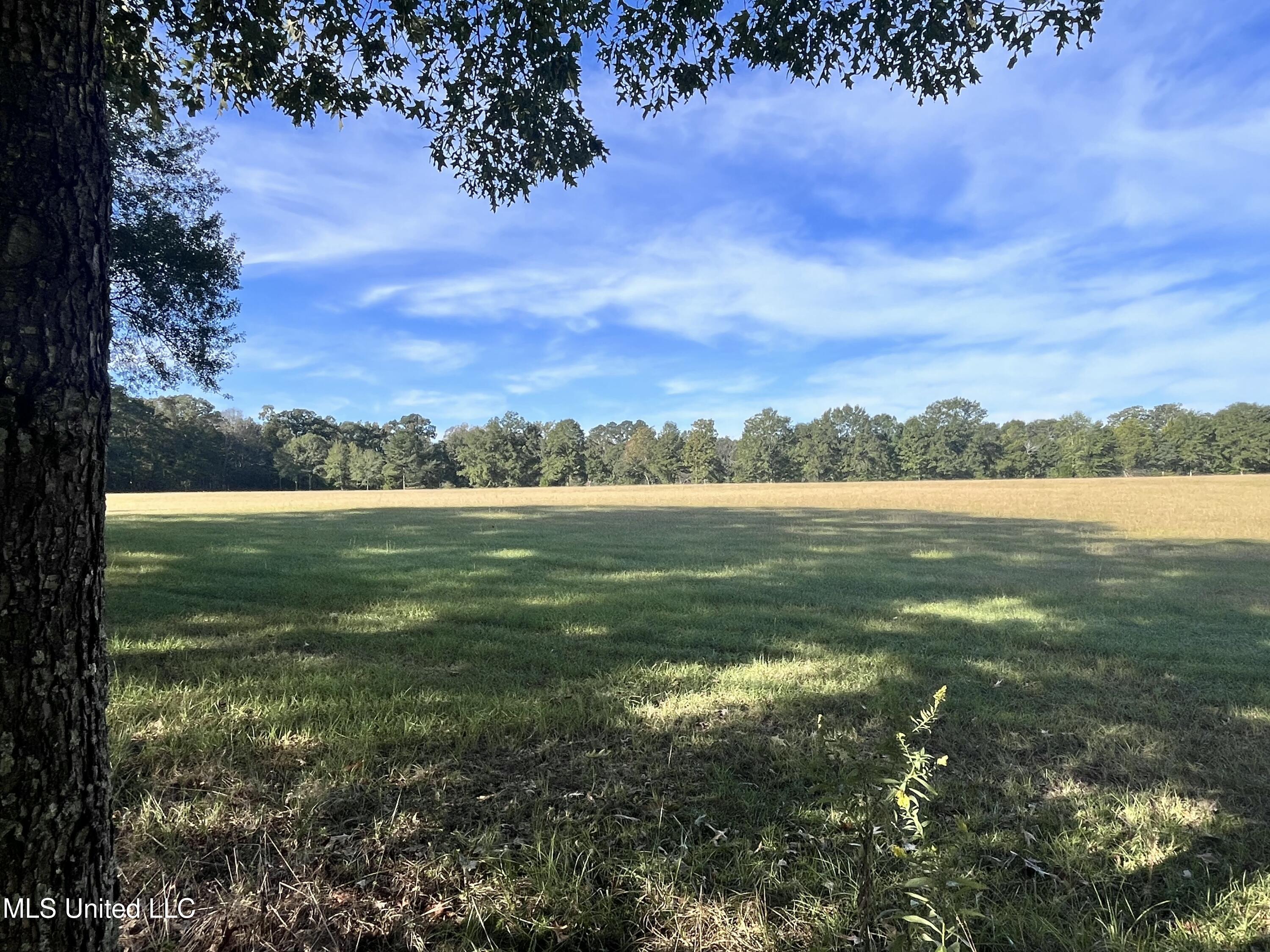 306 Cedar Stone Court Property Photo 61