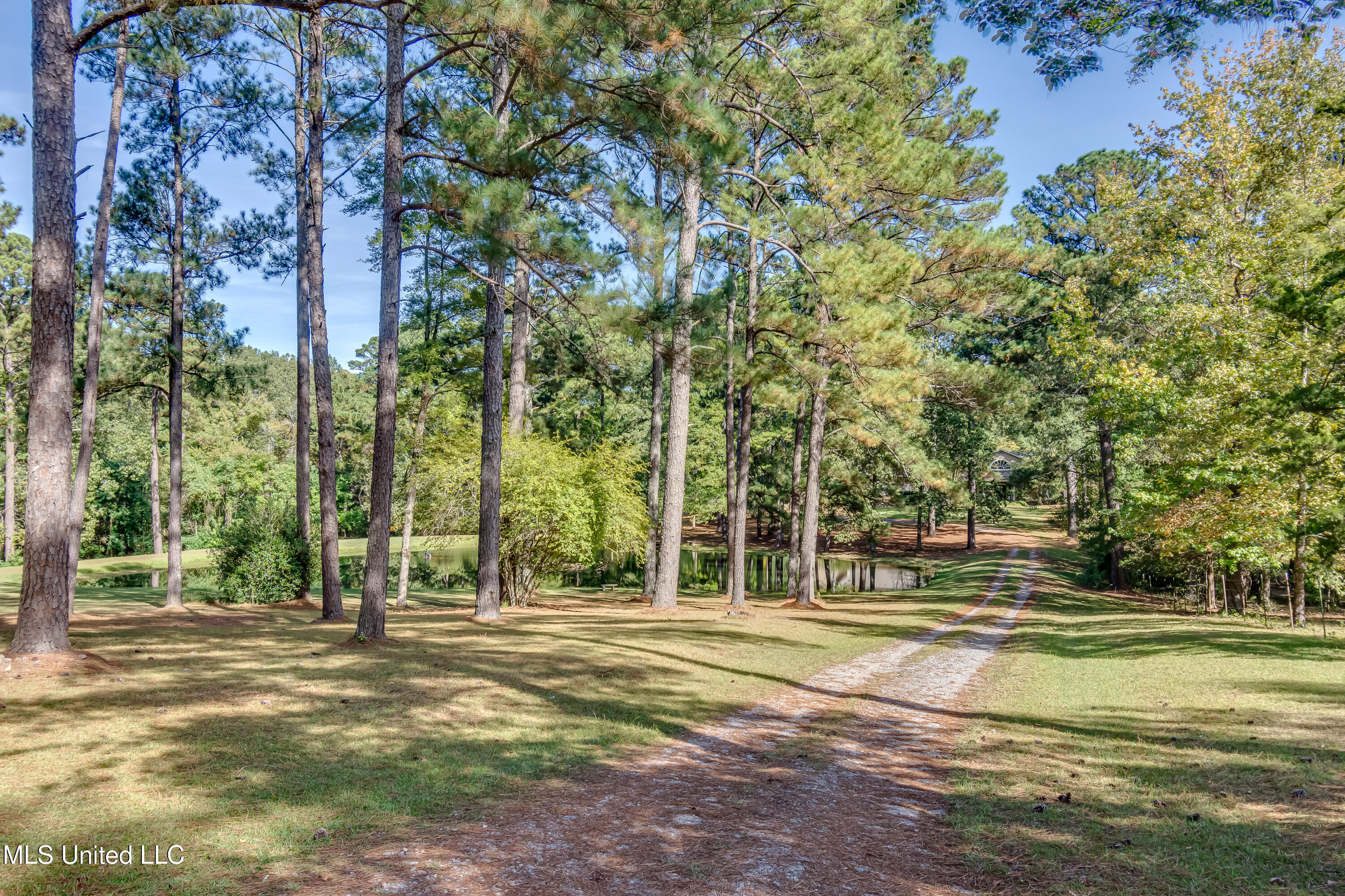 188 Webb Lane Property Photo 99