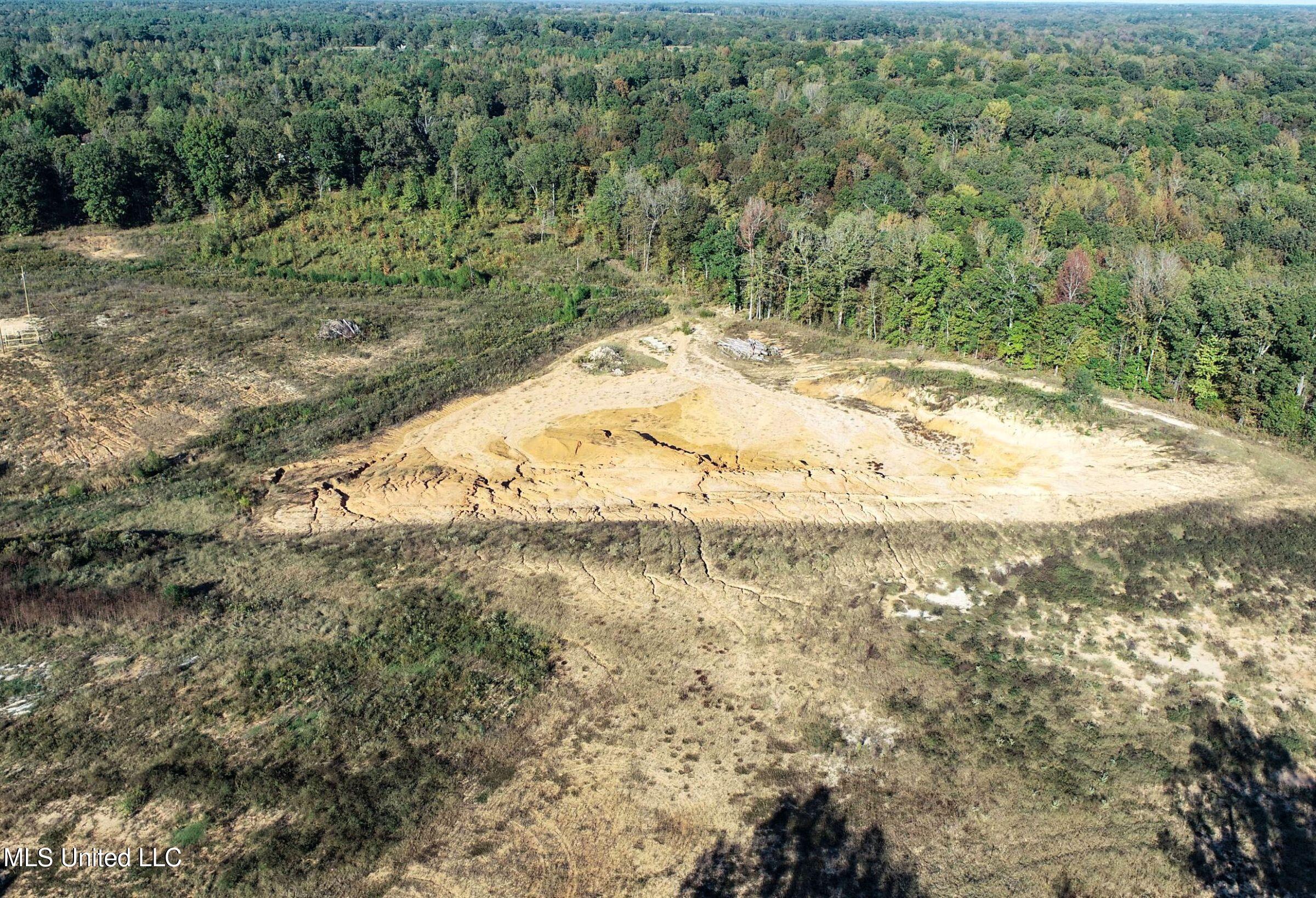 Eureka Road Property Photo 21