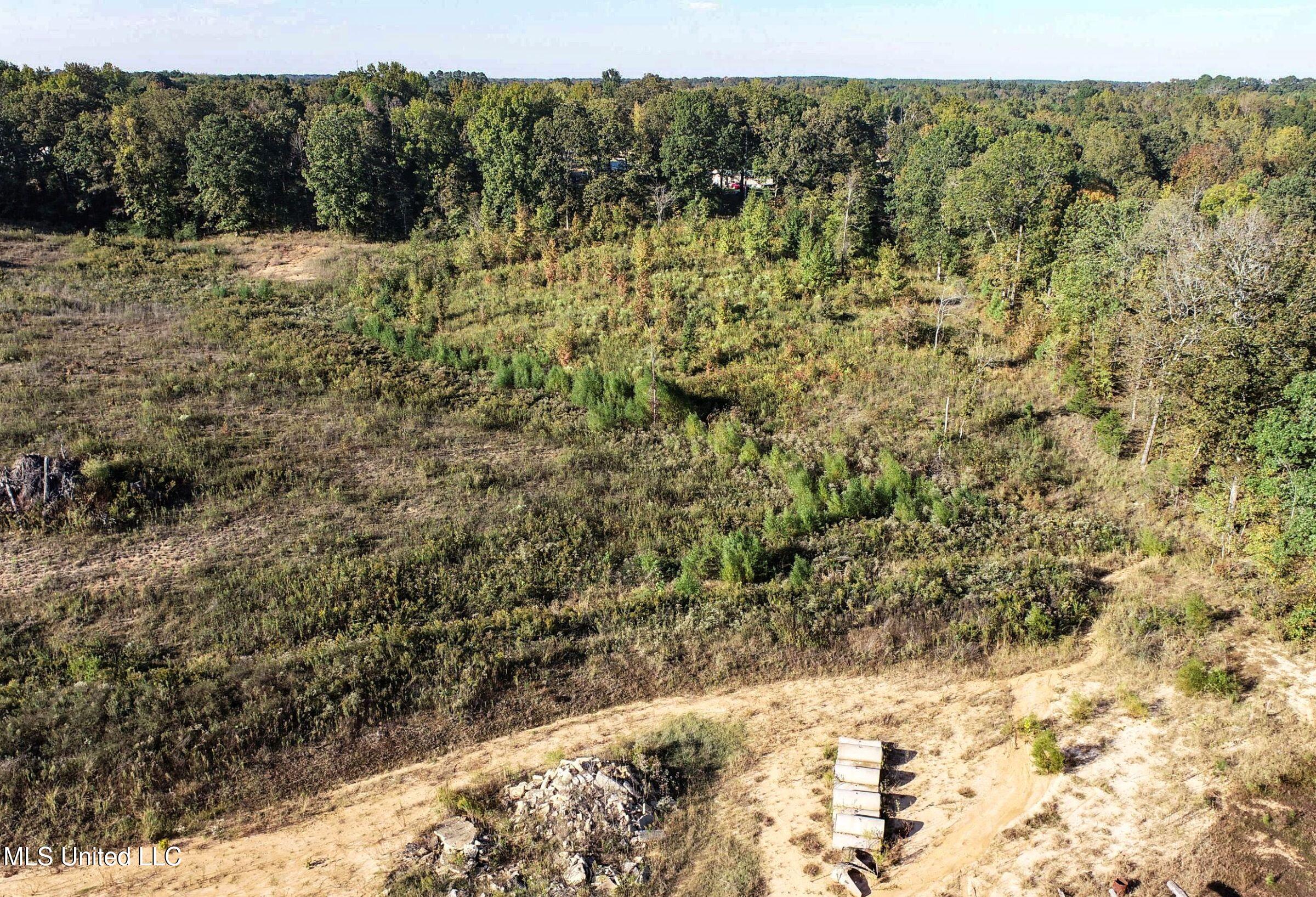 Eureka Road Property Photo 26