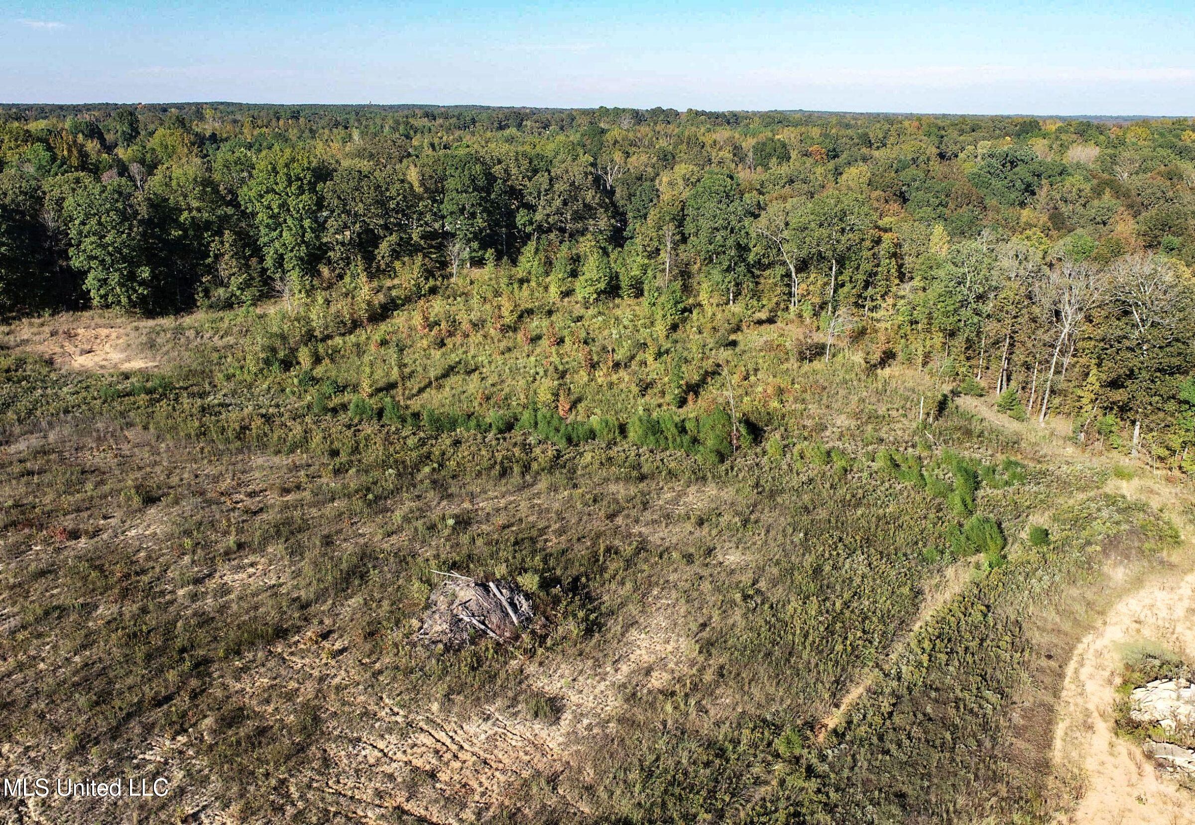 Eureka Road Property Photo 27