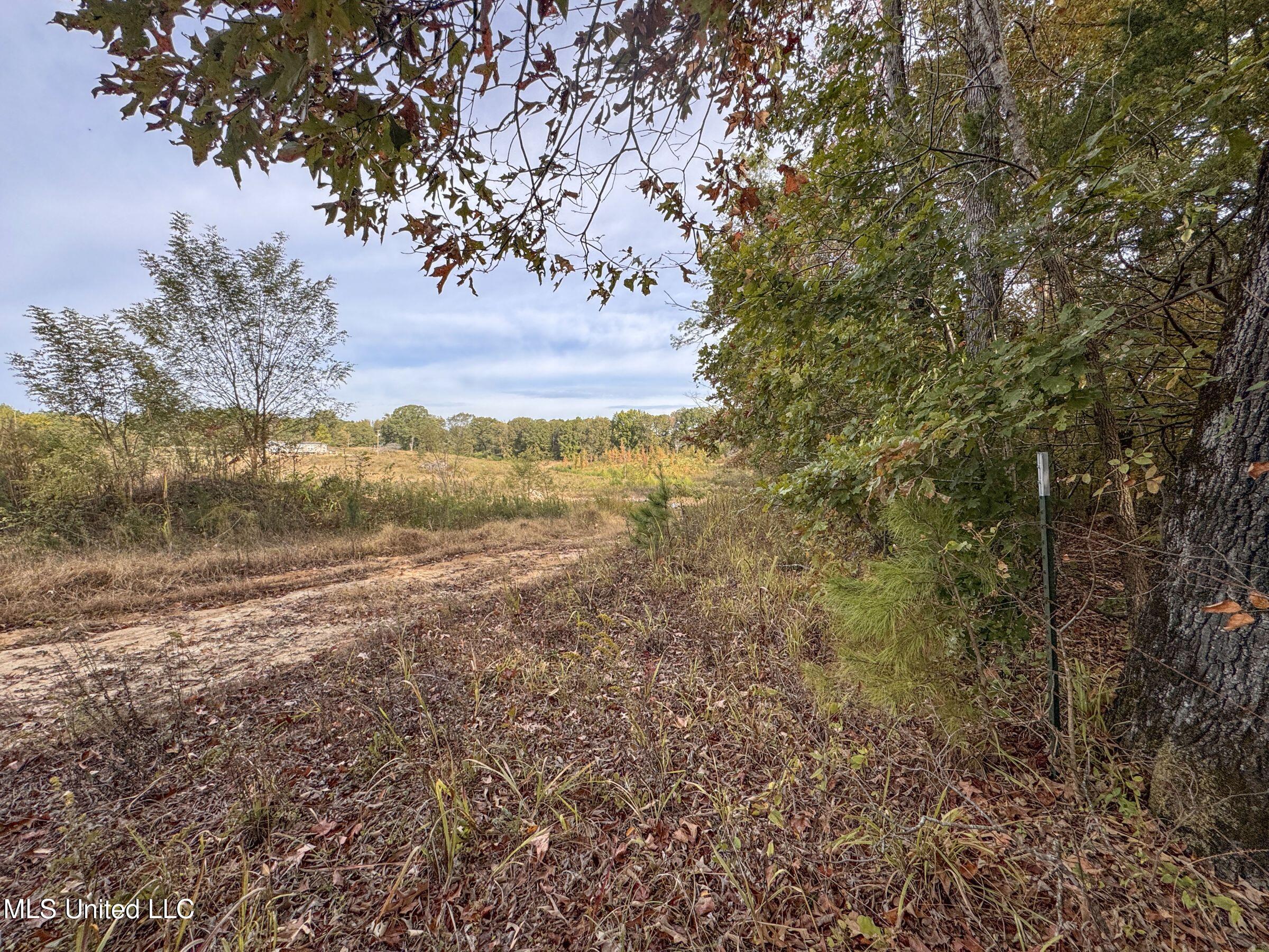 Eureka Road Property Photo 29