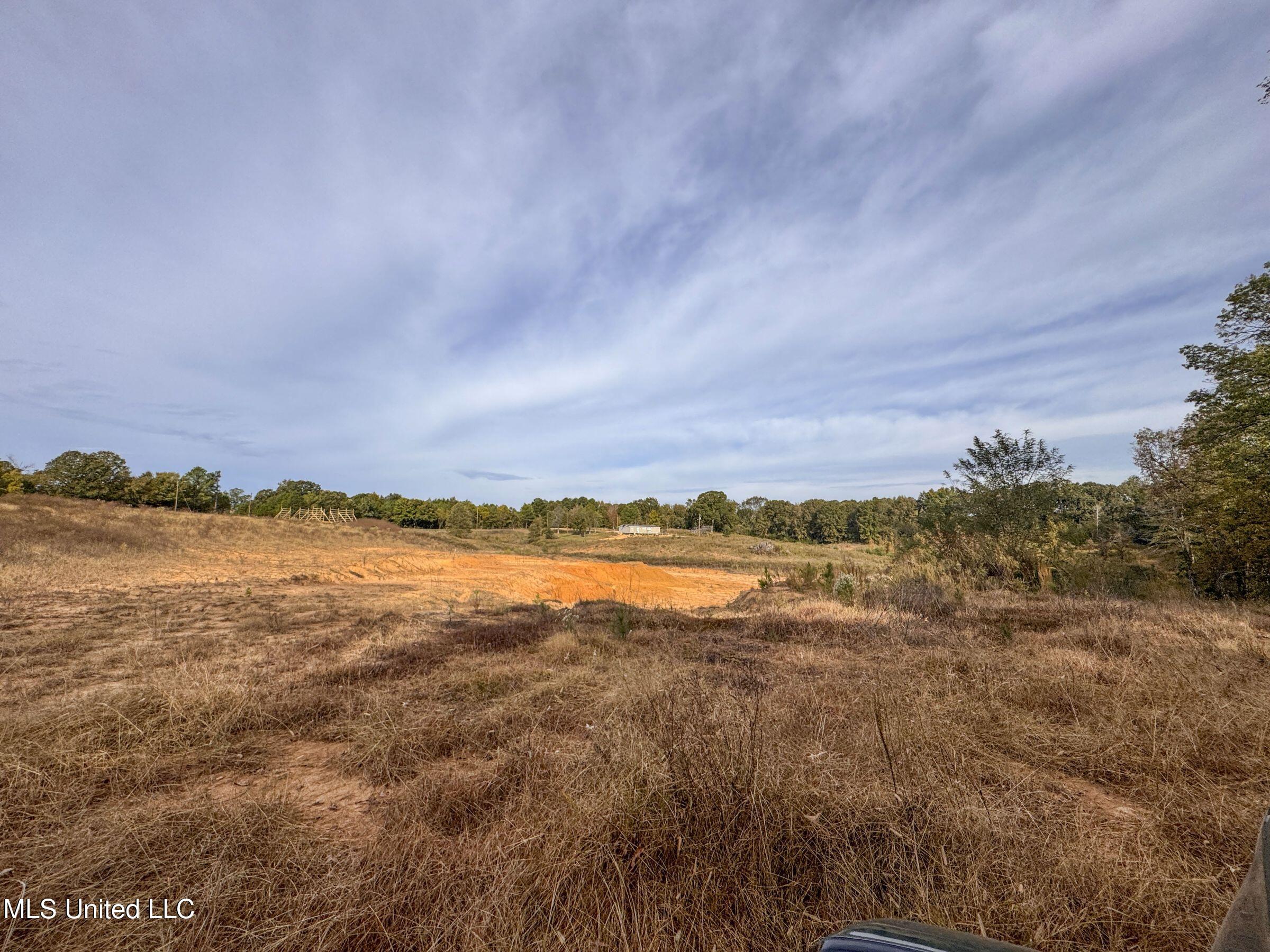 Eureka Road Property Photo 30