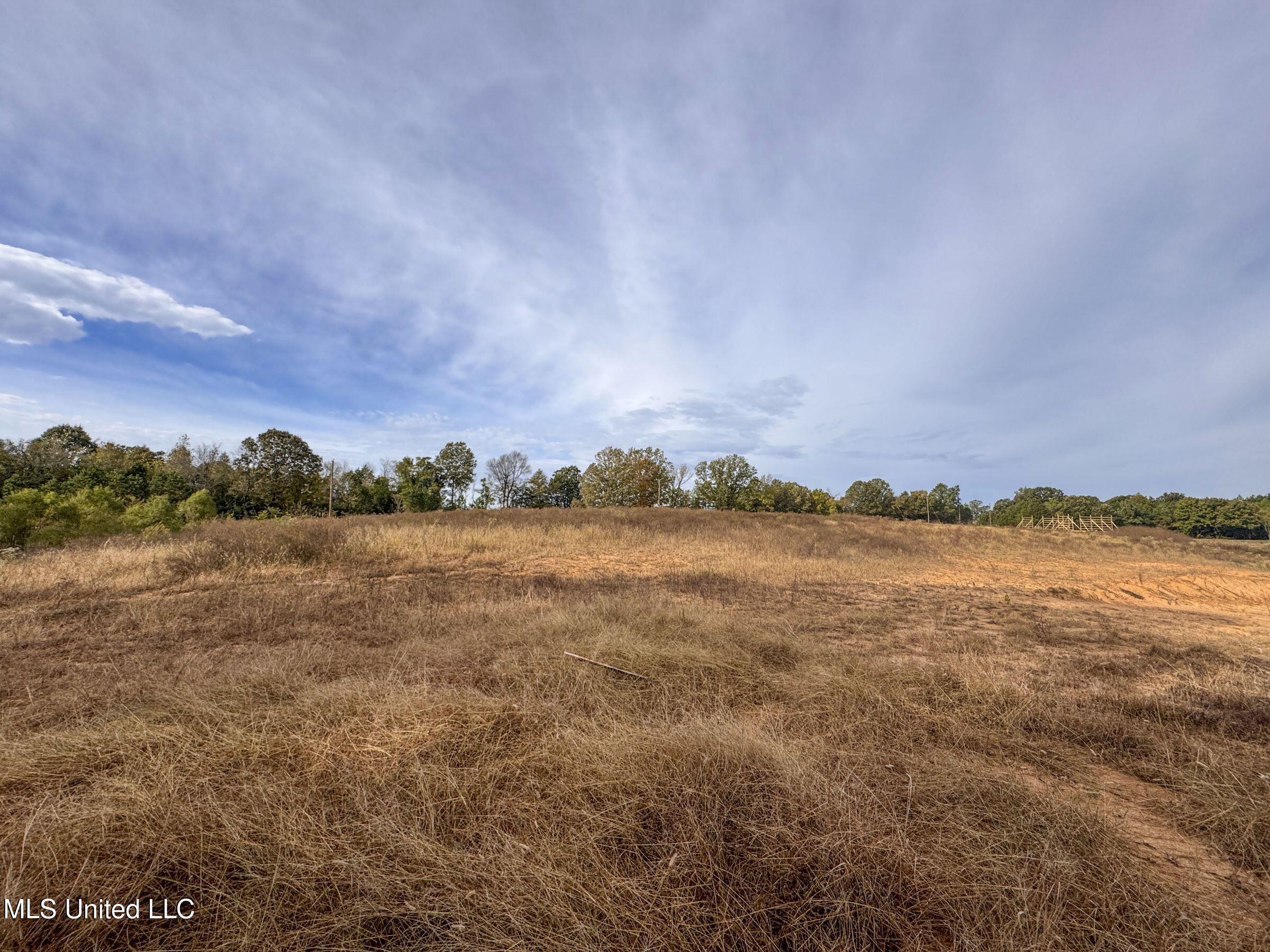 Eureka Road Property Photo 31