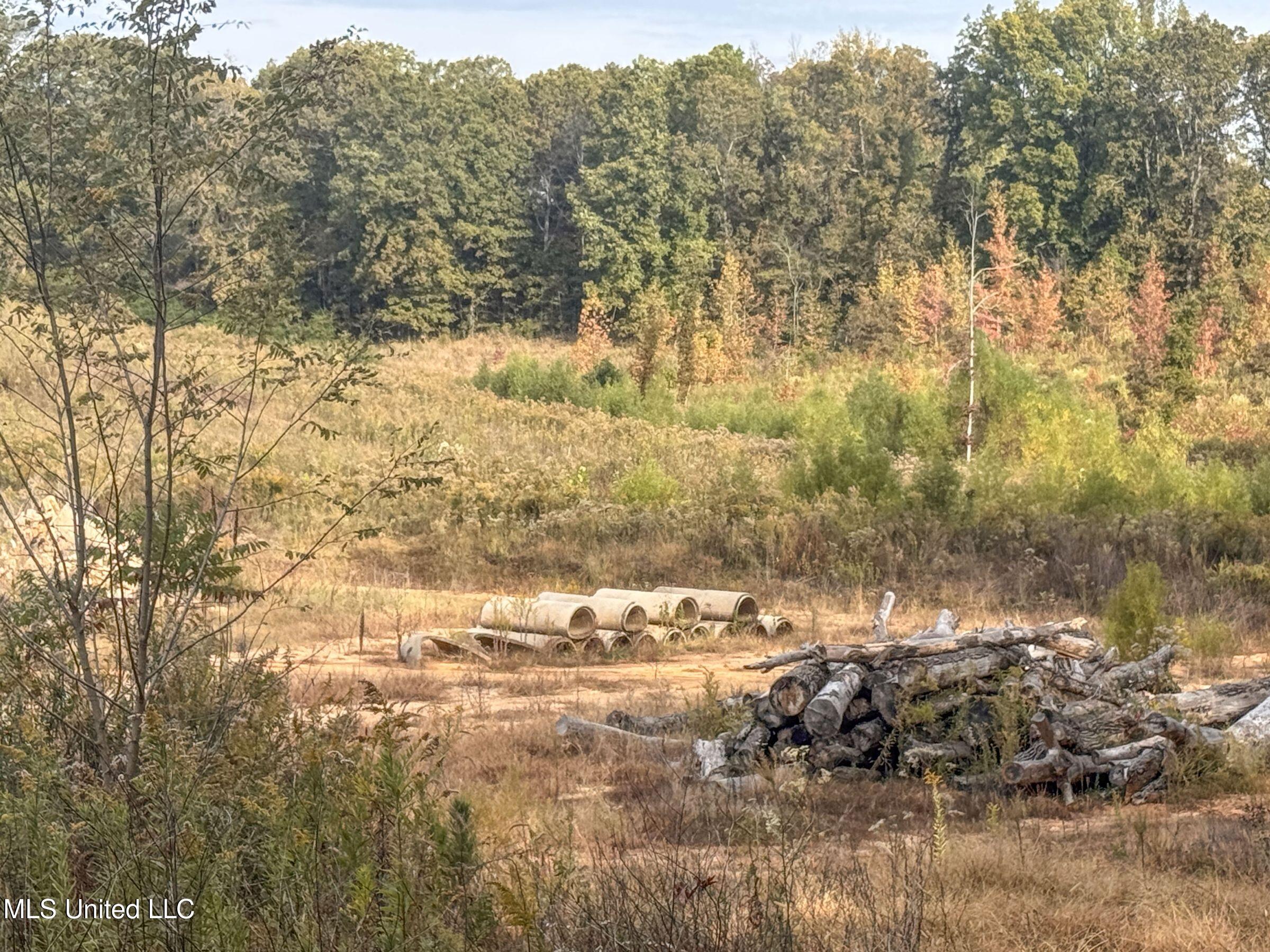 Eureka Road Property Photo 32