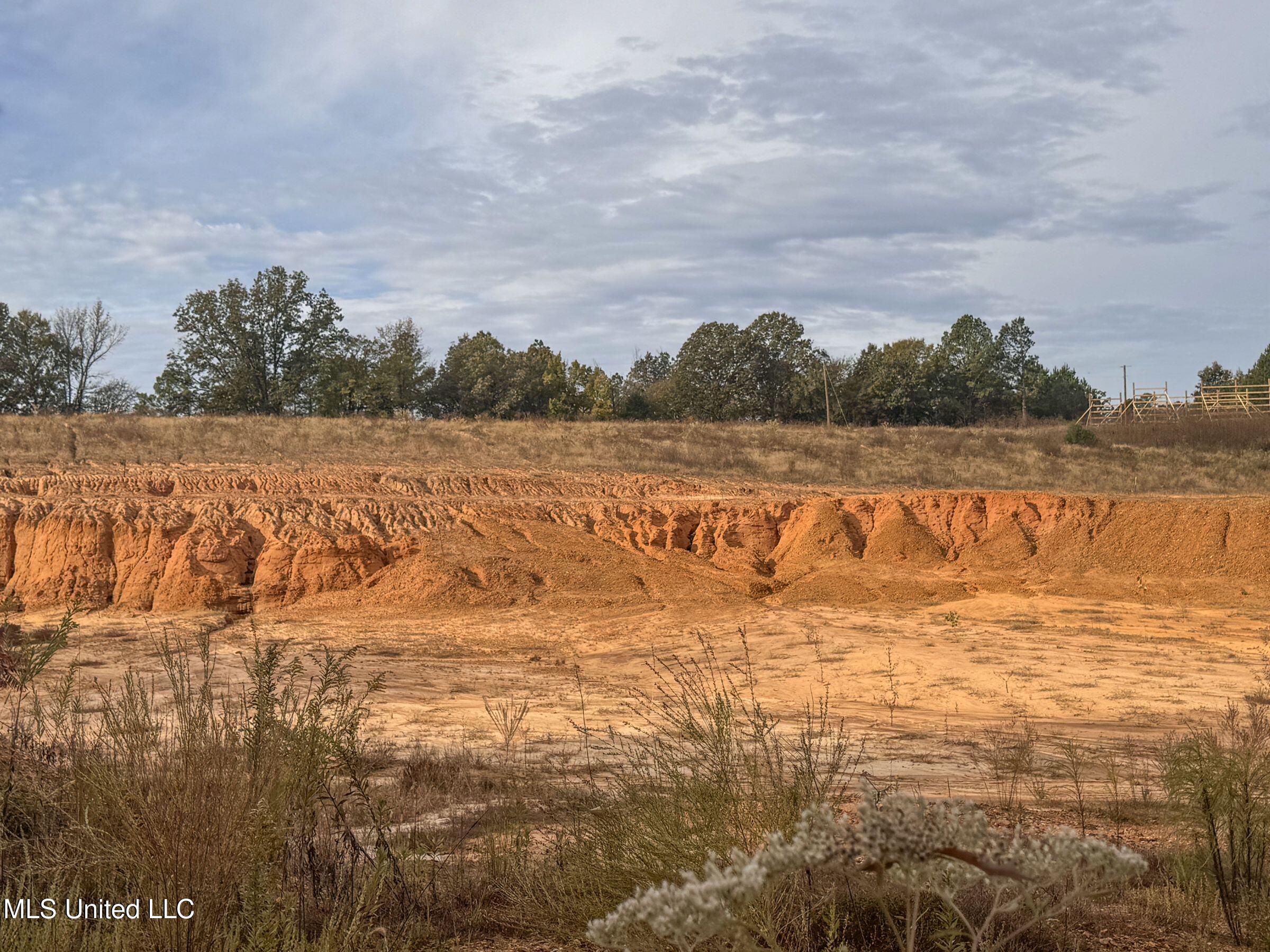 Eureka Road Property Photo 33