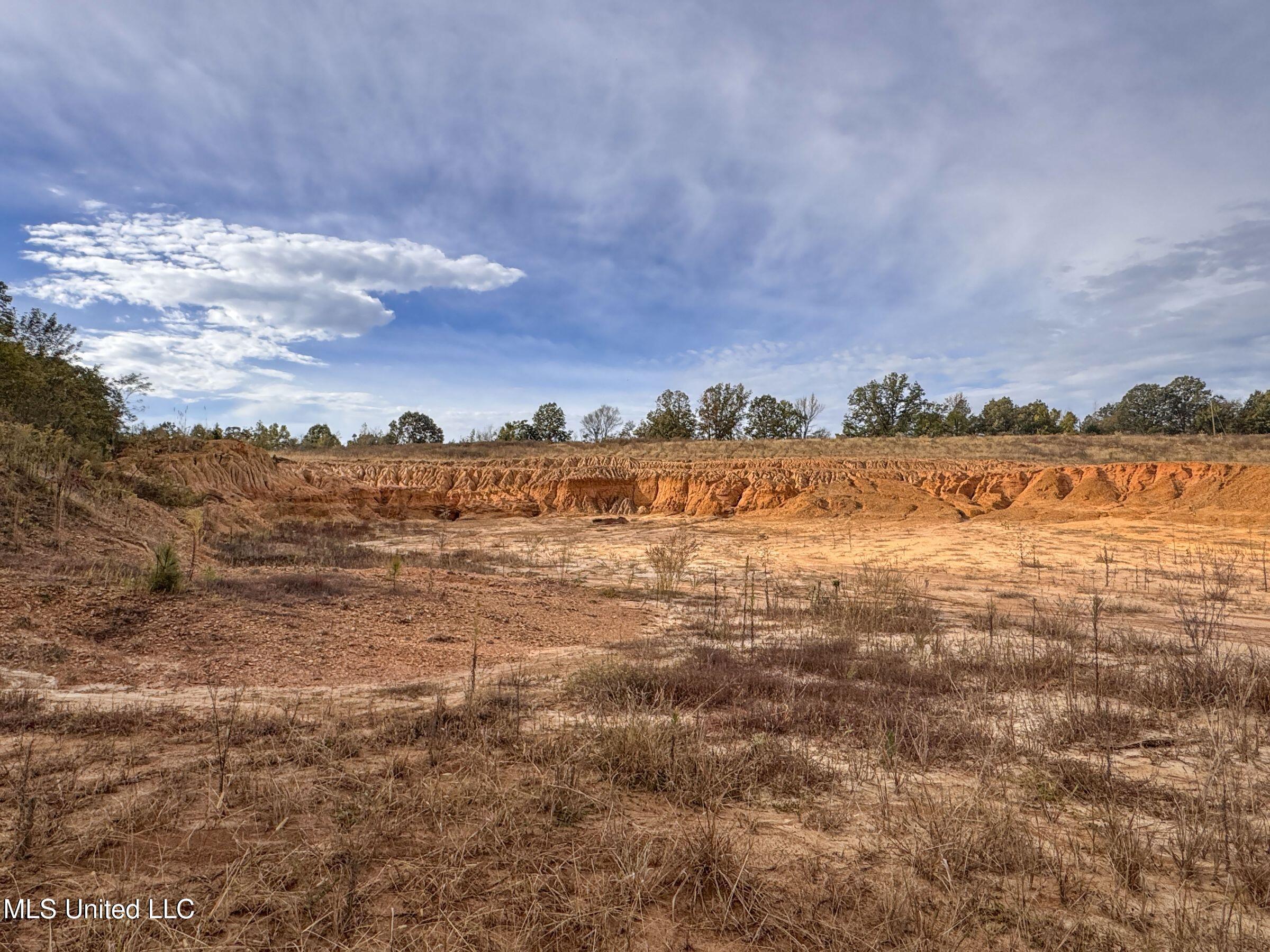 Eureka Road Property Photo 34