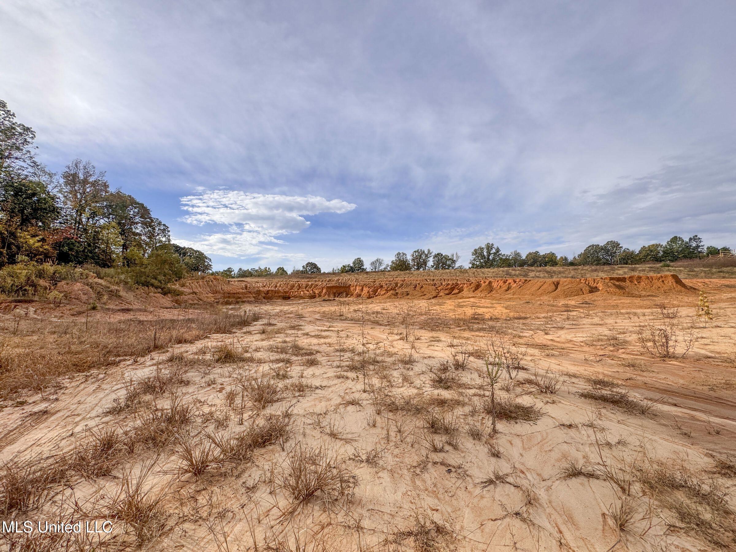 Eureka Road Property Photo 36