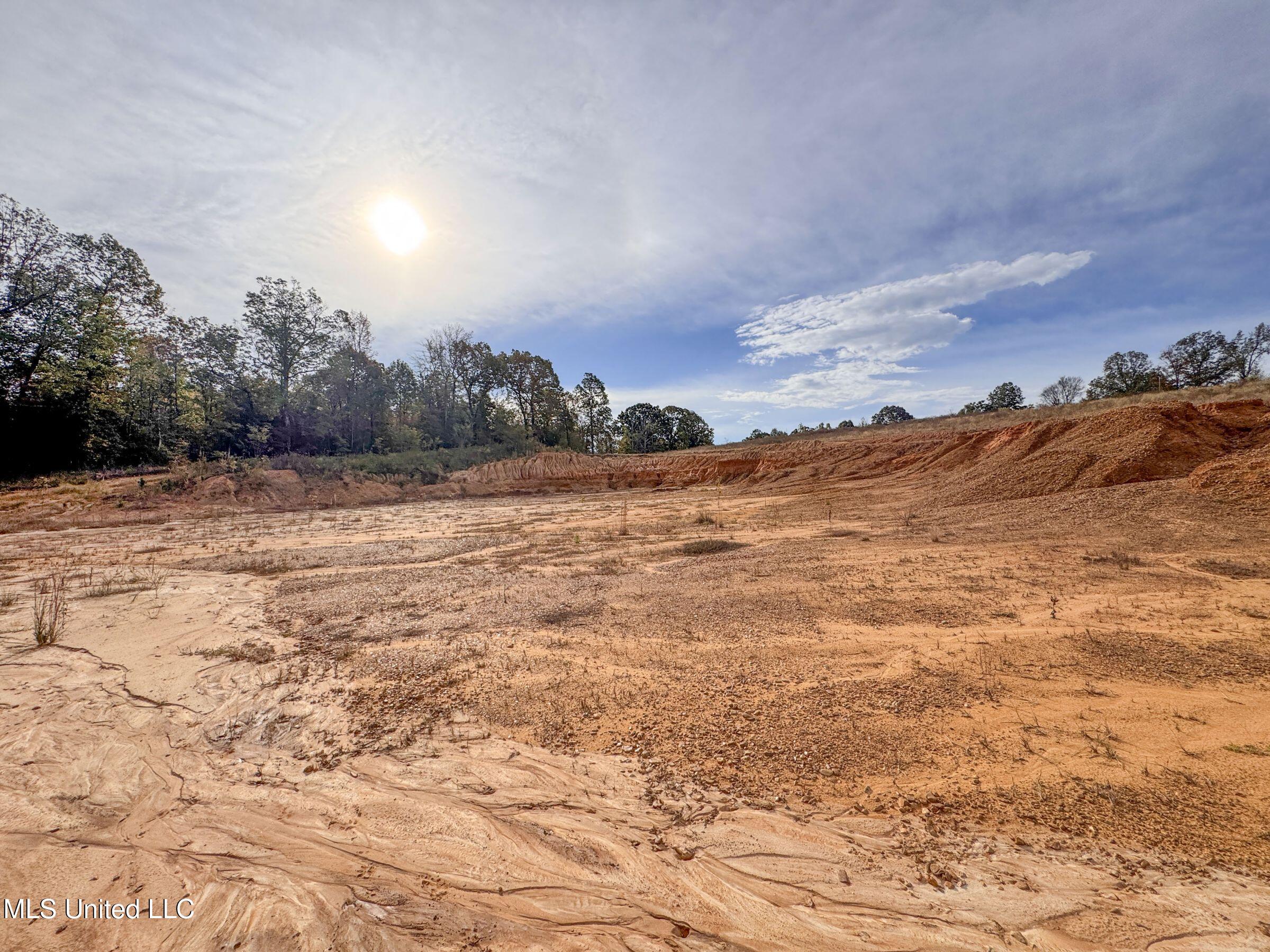 Eureka Road Property Photo 38