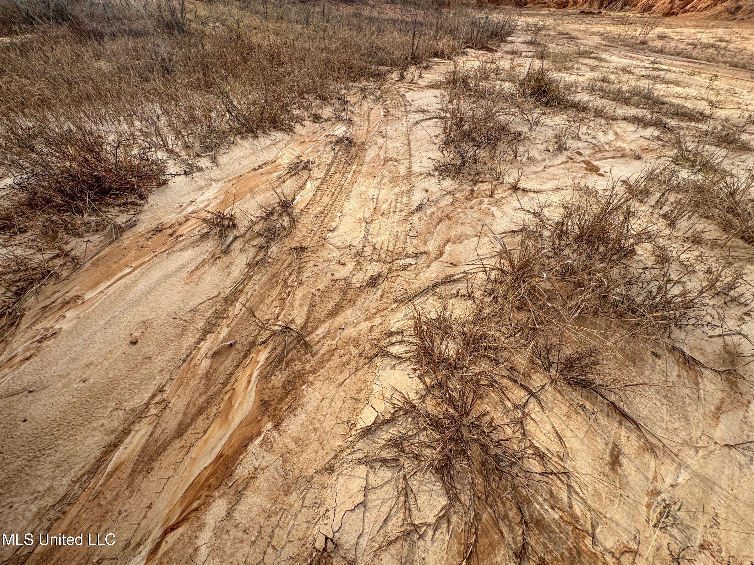 Eureka Road Property Photo 39