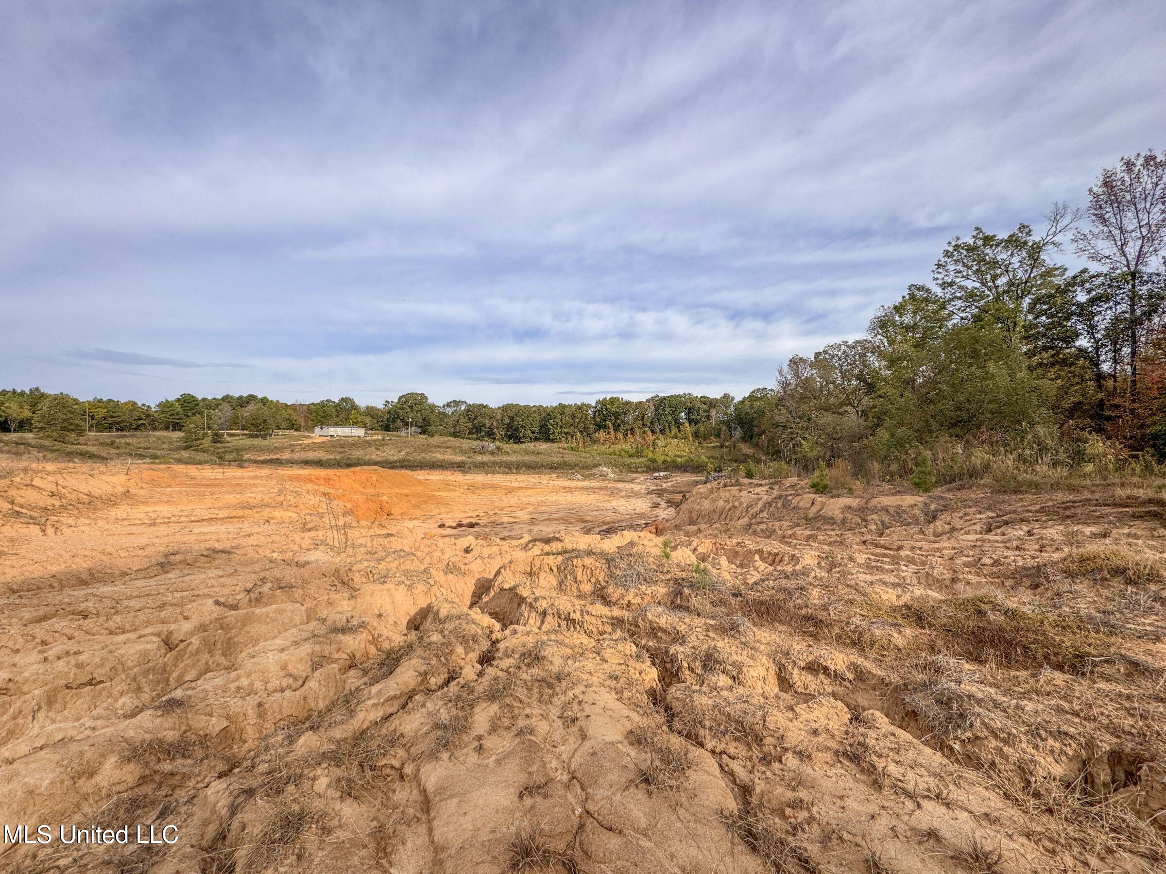 Eureka Road Property Photo 40