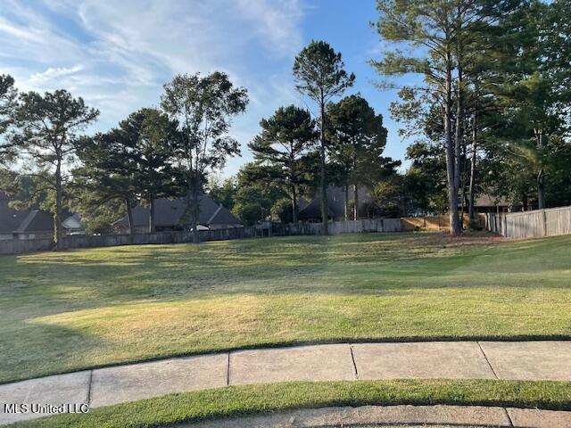 1133 Windrose Circle Property Photo 4