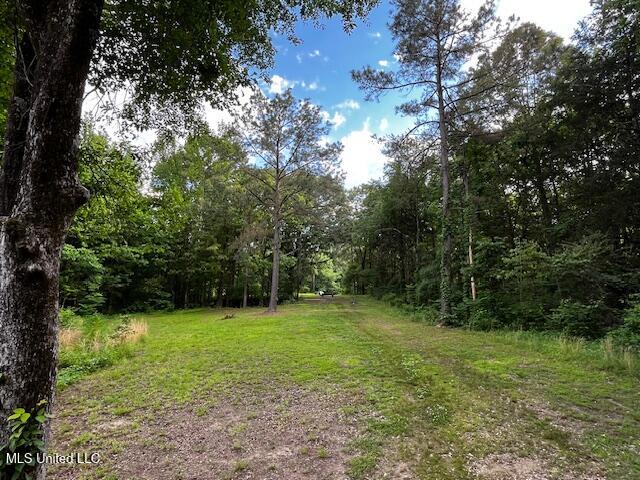 5116 Hwy 178 Property Photo 4