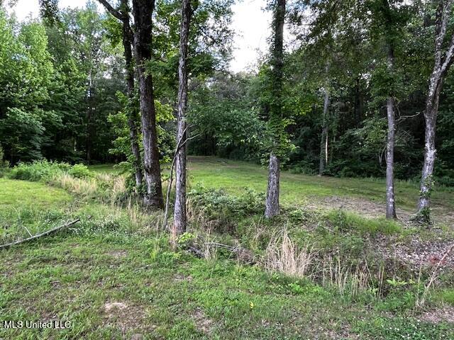 5116 Hwy 178 Property Photo 5