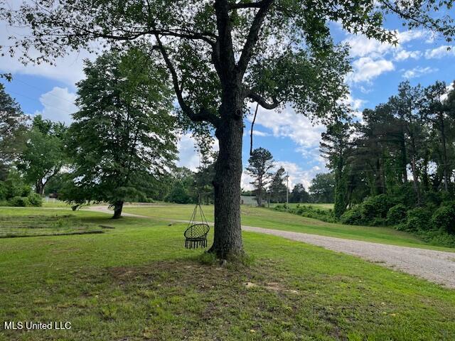 5116 Hwy 178 Property Photo 11