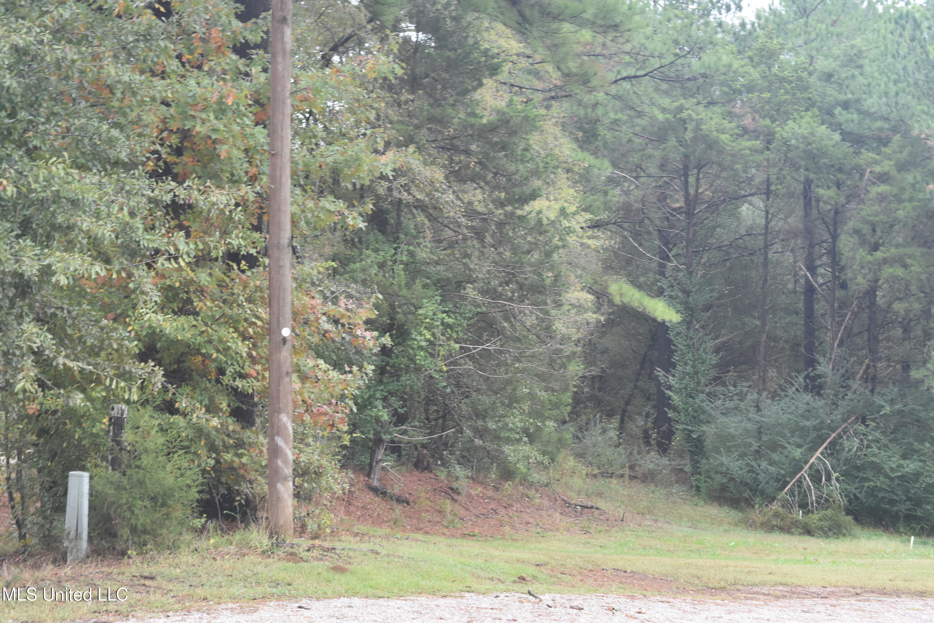10779 S Bethel Road Property Photo 1