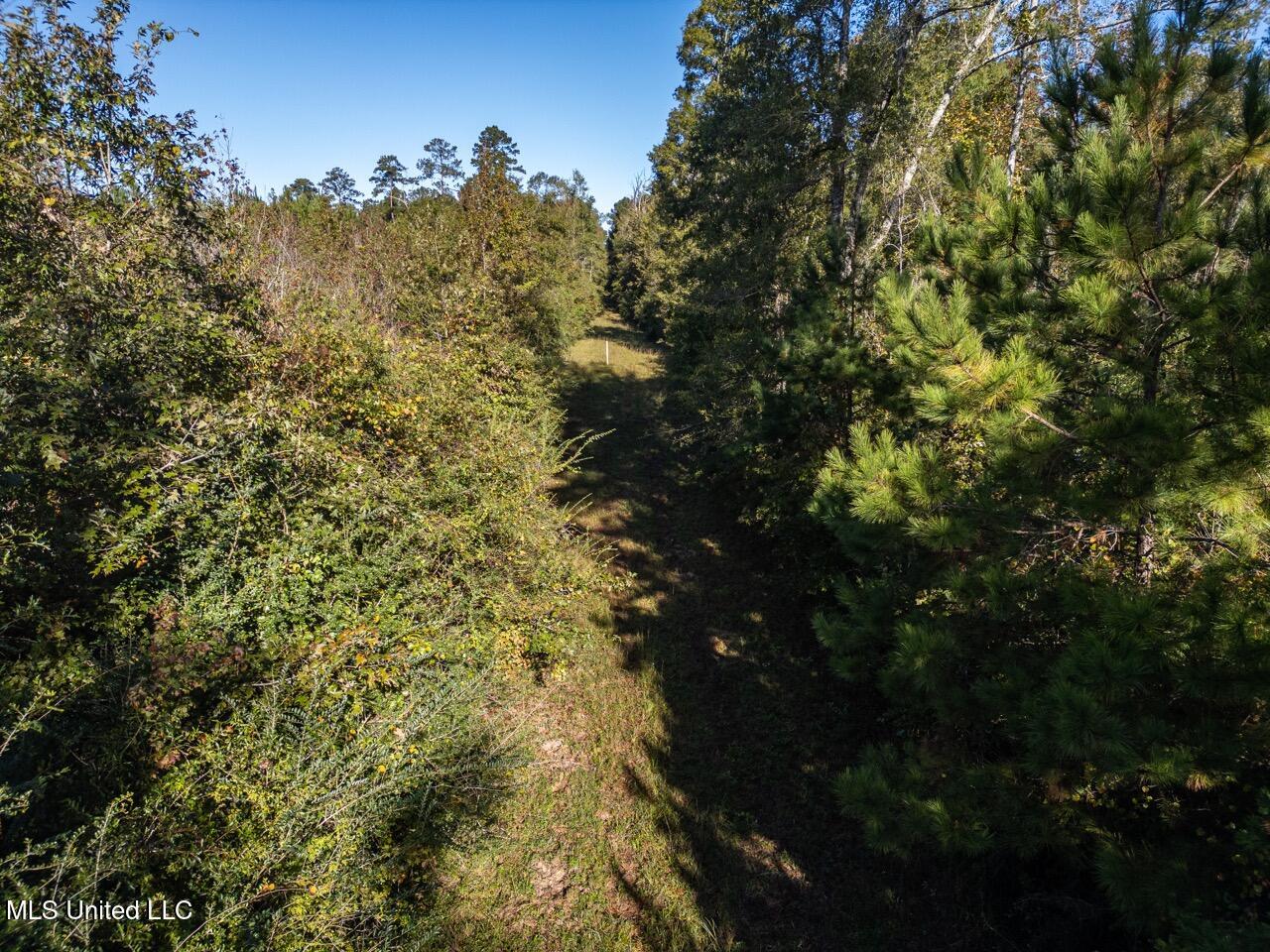 4058 Mcclain Road Property Photo 11