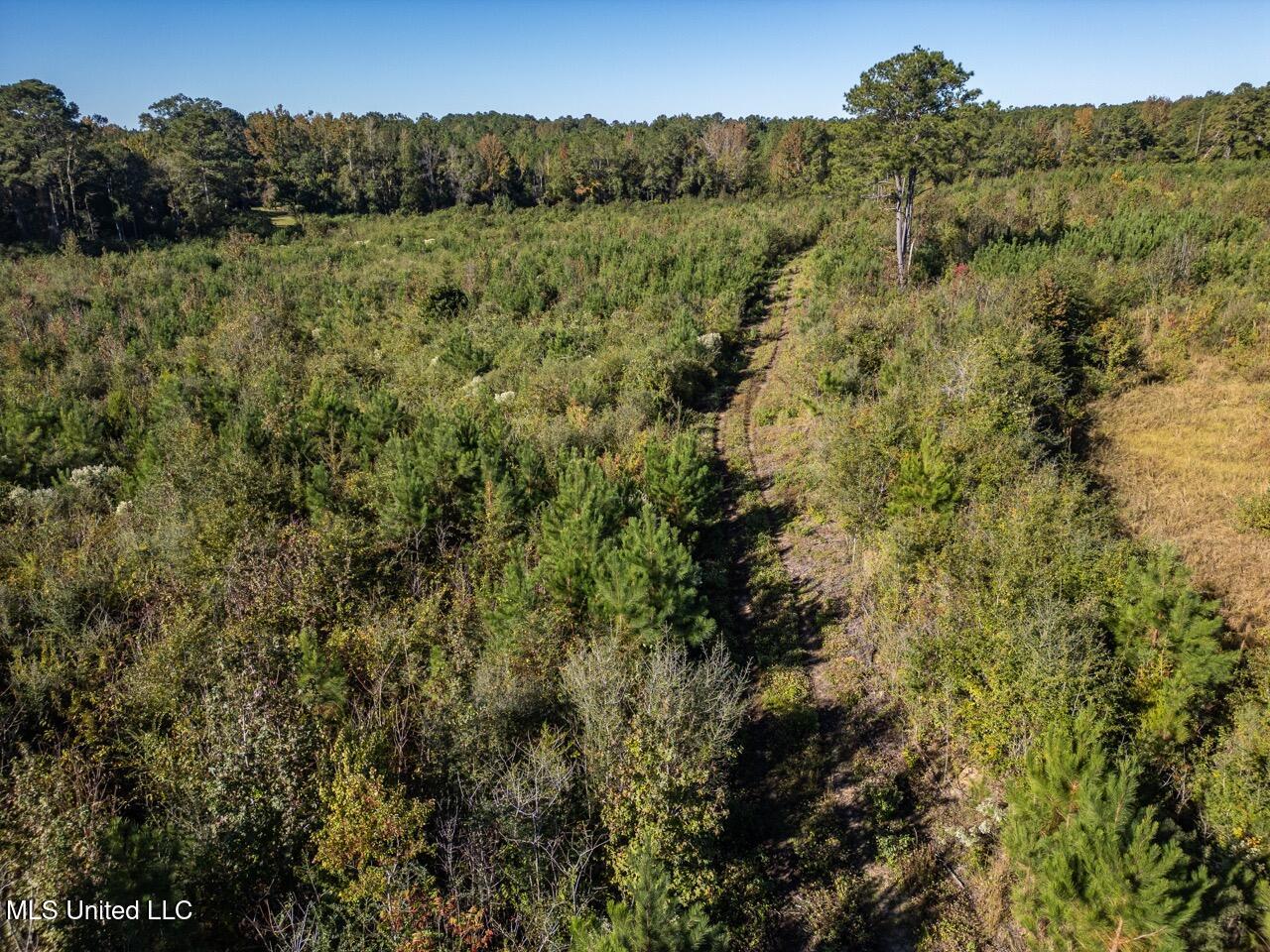 4058 Mcclain Road Property Photo 16