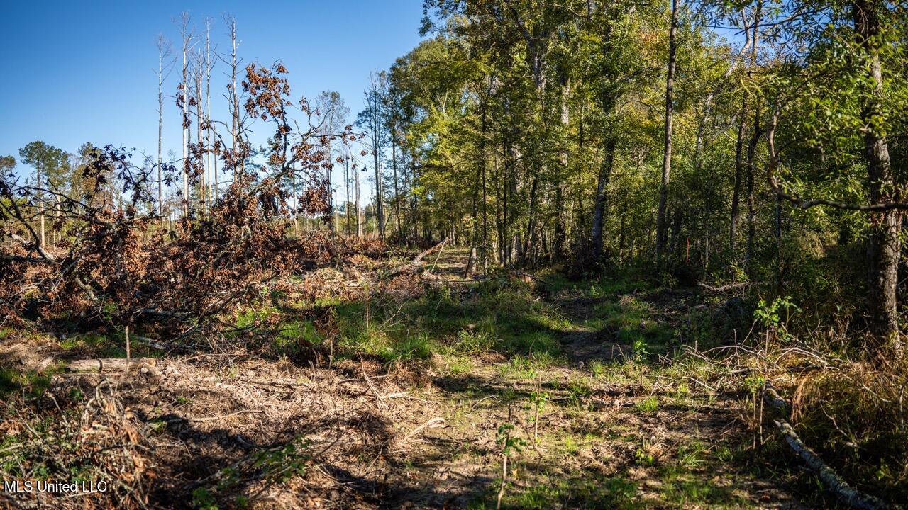 4058 Mcclain Road Property Photo 26