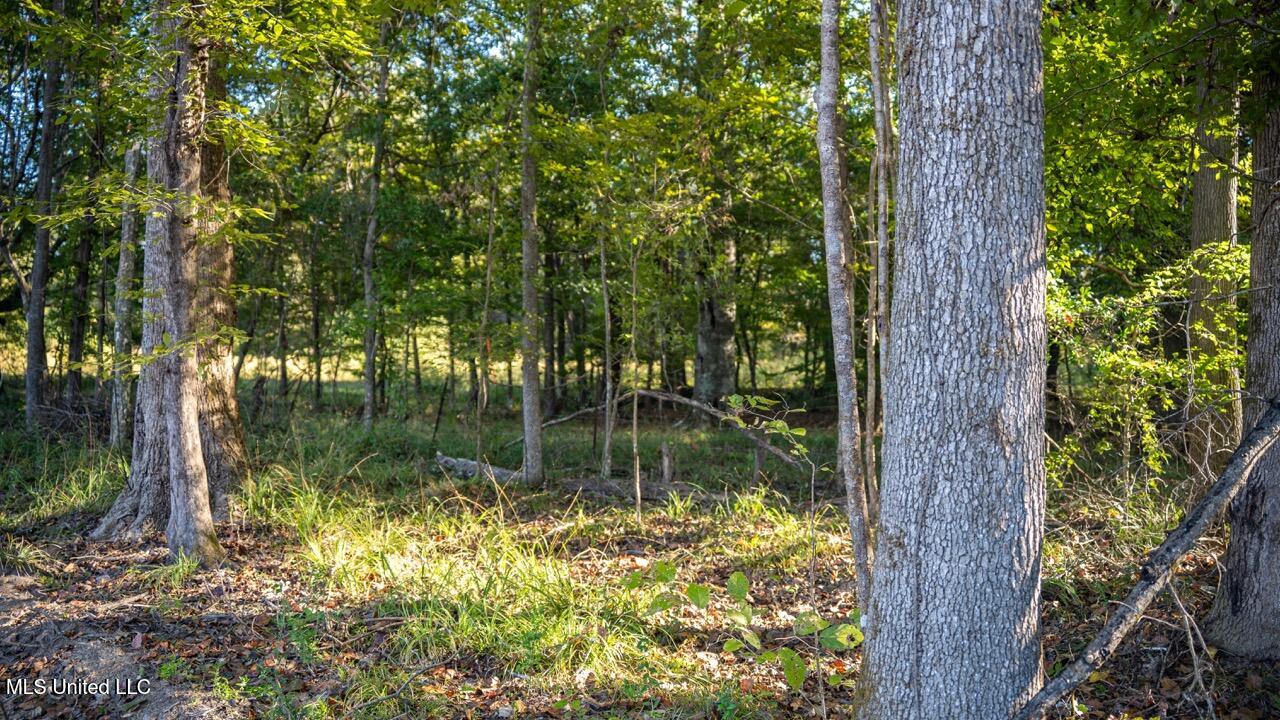 4058 Mcclain Road Property Photo 27