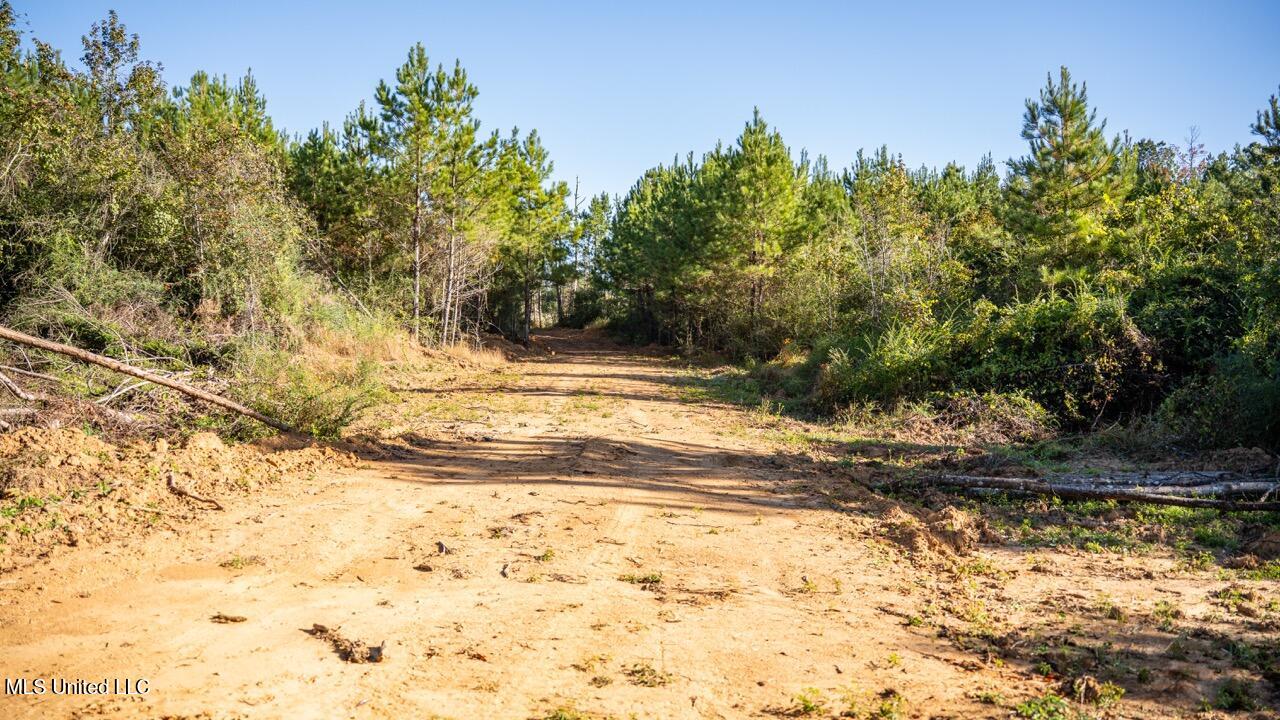 4058 Mcclain Road Property Photo 28