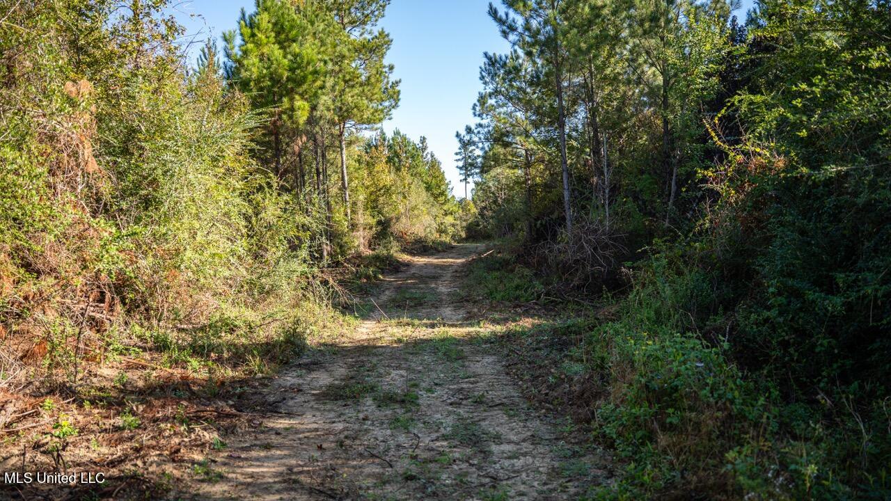 4058 Mcclain Road Property Photo 29
