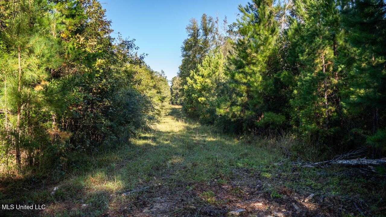 4058 Mcclain Road Property Photo 30