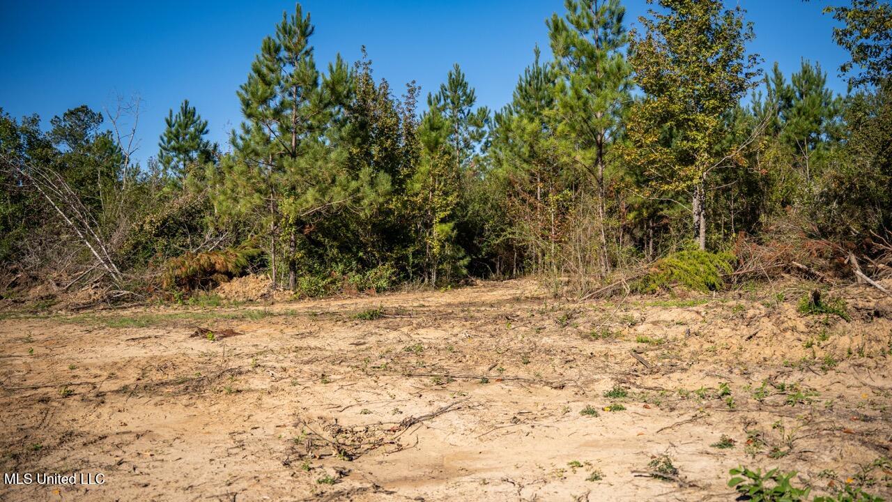 4058 Mcclain Road Property Photo 32