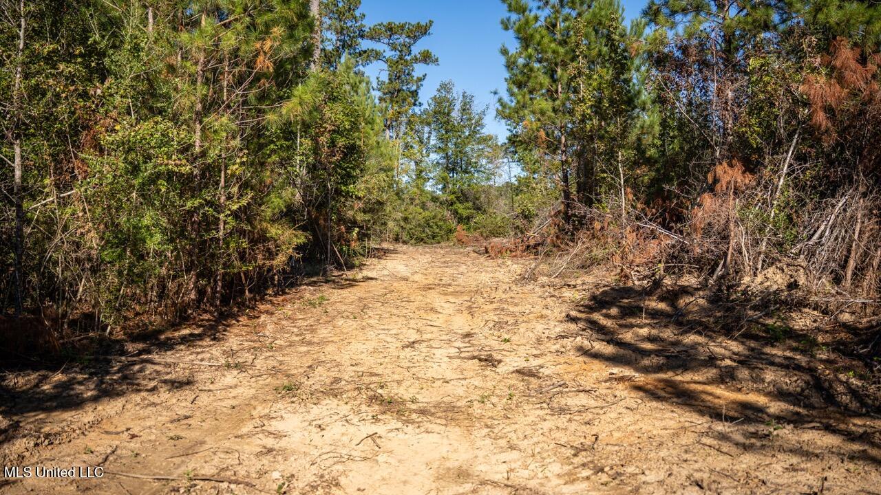 4058 Mcclain Road Property Photo 35