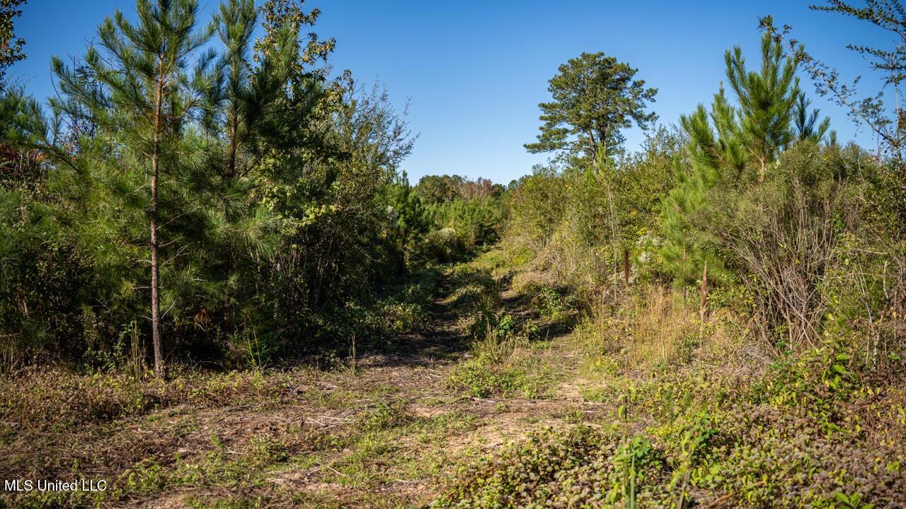 4058 Mcclain Road Property Photo 37
